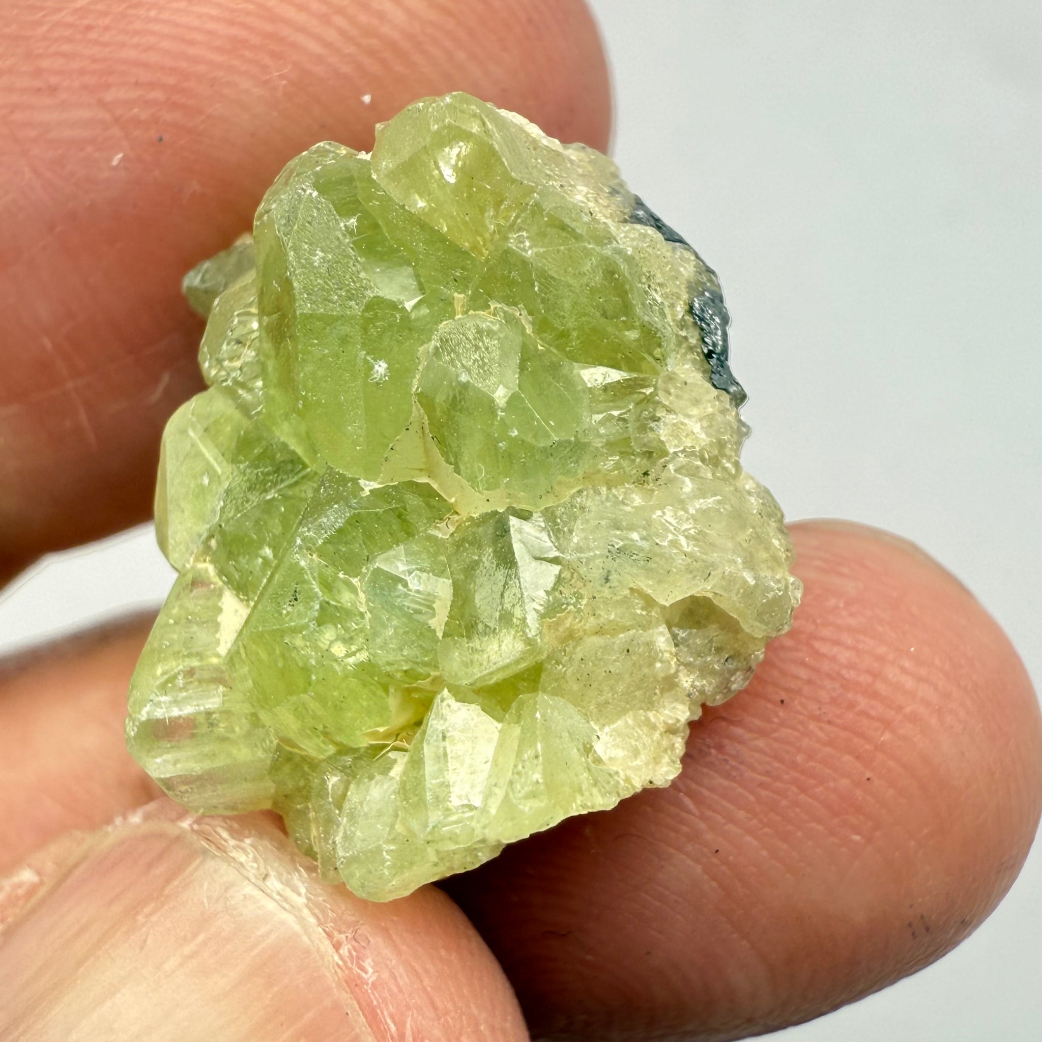 Diopside Crystal, 23.48ct Tanzania, Untreated Unheated