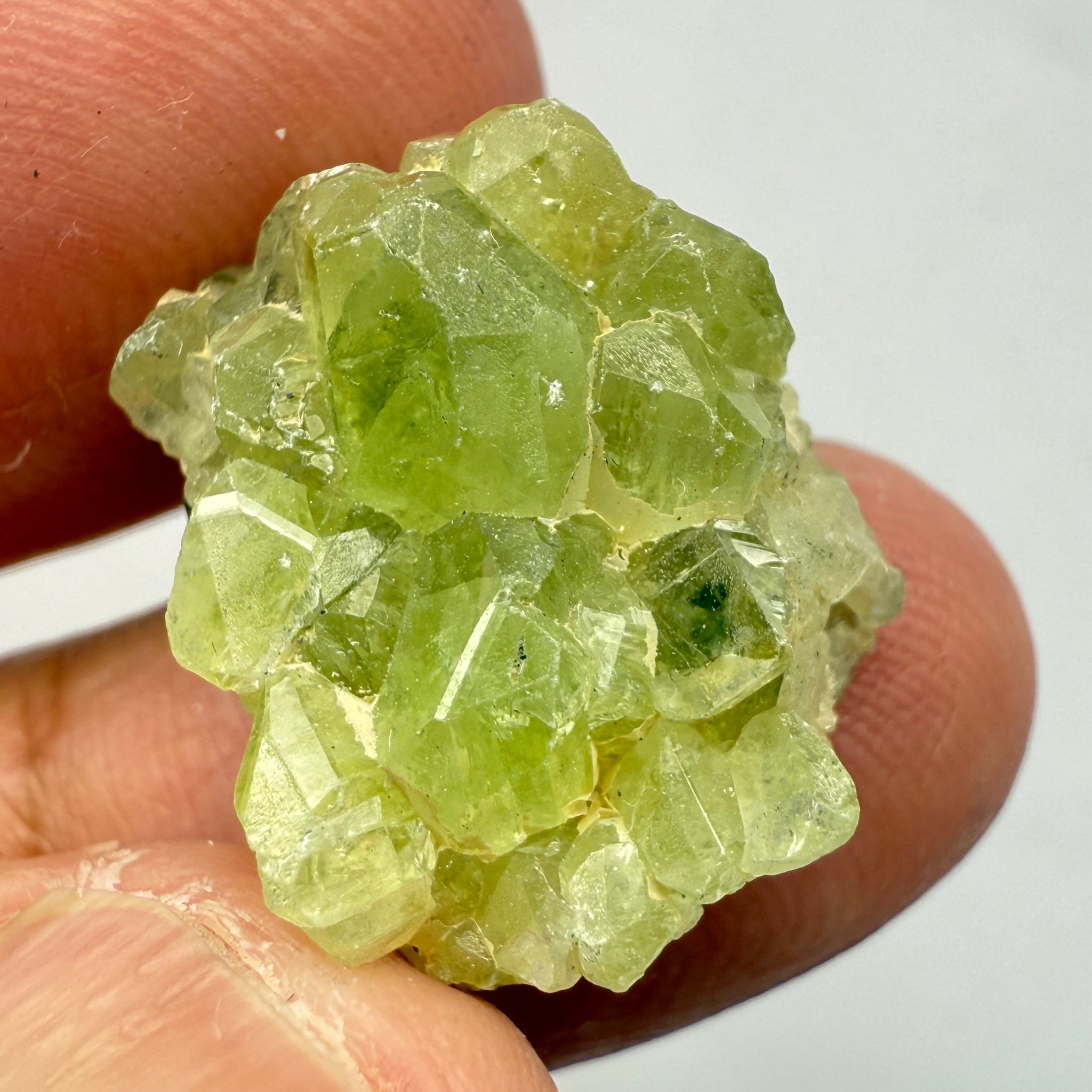 Diopside Crystal, 23.48ct Tanzania, Untreated Unheated