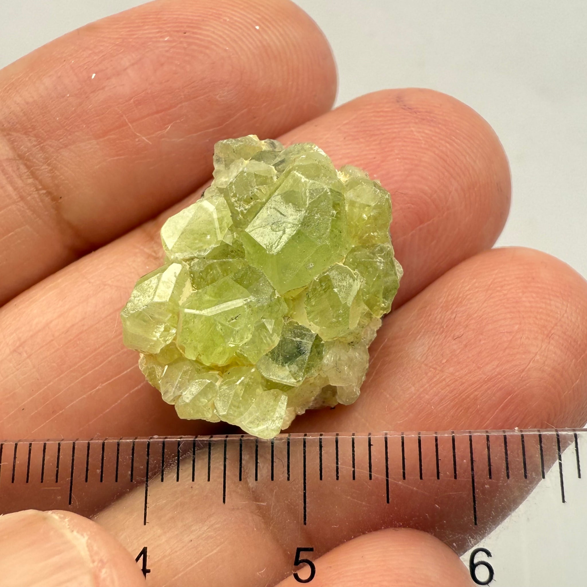 Diopside Crystal, 23.48ct Tanzania, Untreated Unheated