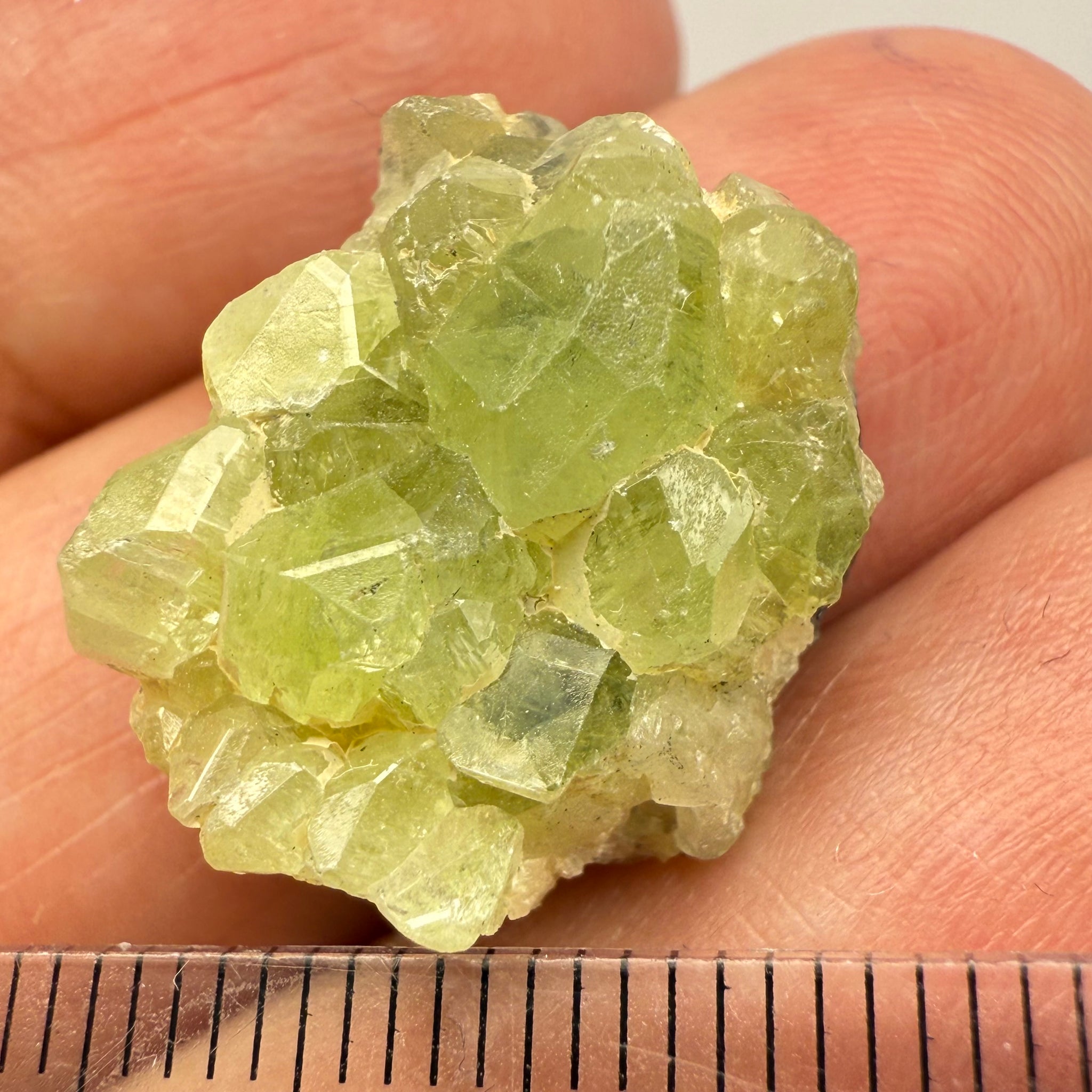 Diopside Crystal, 23.48ct Tanzania, Untreated Unheated