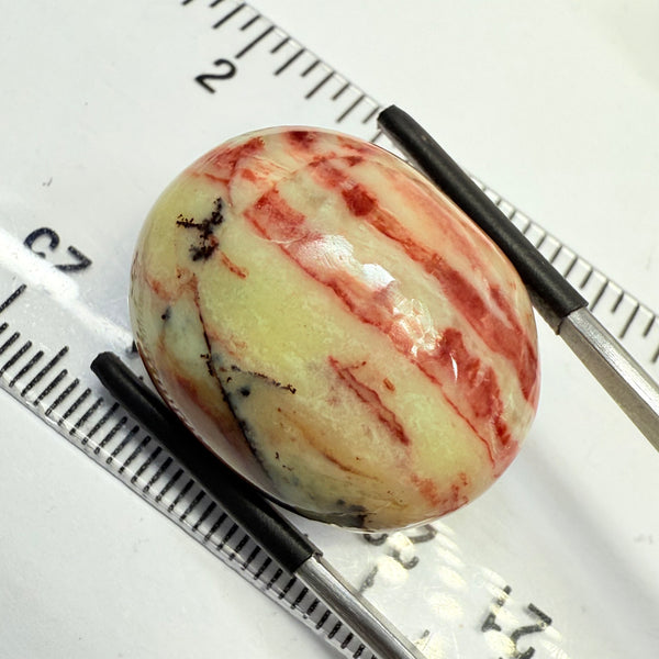 Opal, 44.21ct, Tanzania, Untreated Unheated