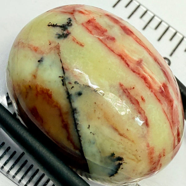 Opal, 44.21ct, Tanzania, Untreated Unheated