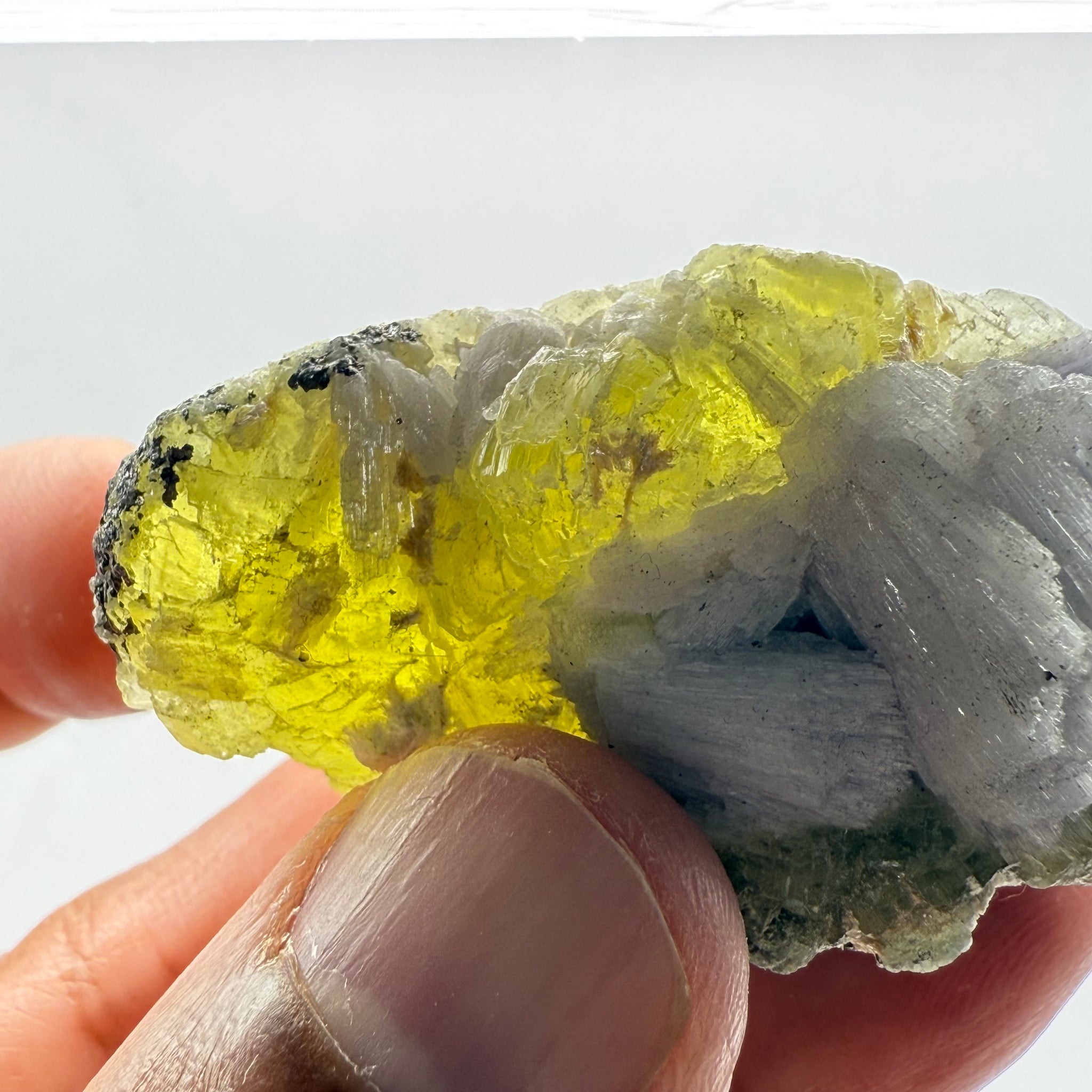 Prehnite with Tanzanite Crystal, 244.52ct Tanzania, Untreated Unheated