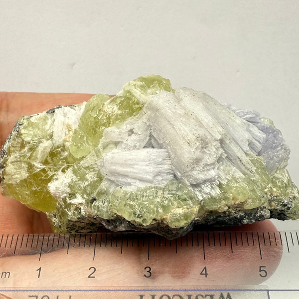 Prehnite with Tanzanite Crystal, 244.52ct Tanzania, Untreated Unheated