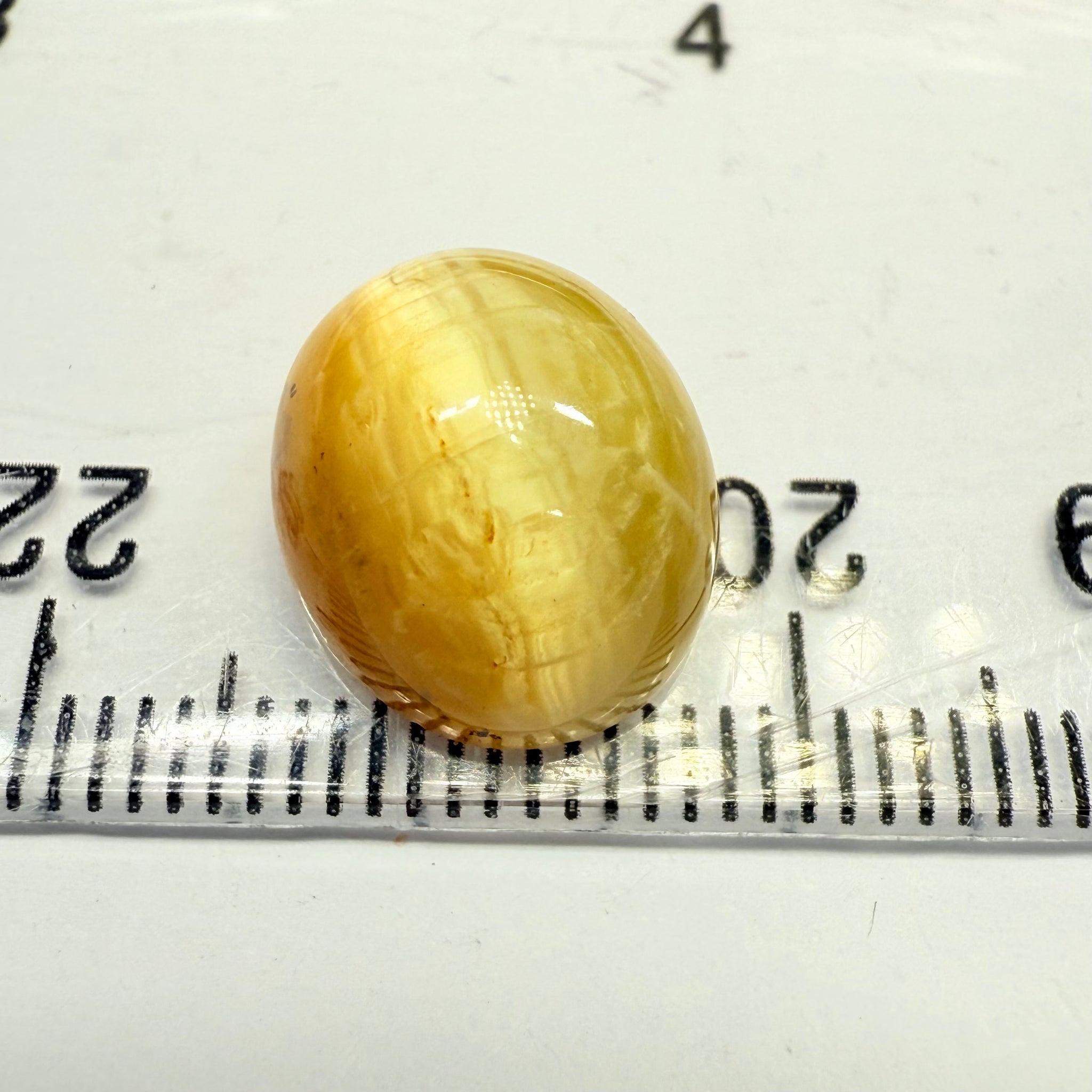 Cats-Eye Opal, 6.52ct, Tanzania, Untreated Unheated