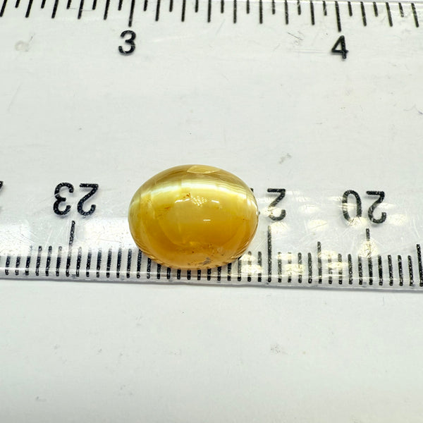 Cats-Eye Opal, 5.32ct, Tanzania, Untreated Unheated