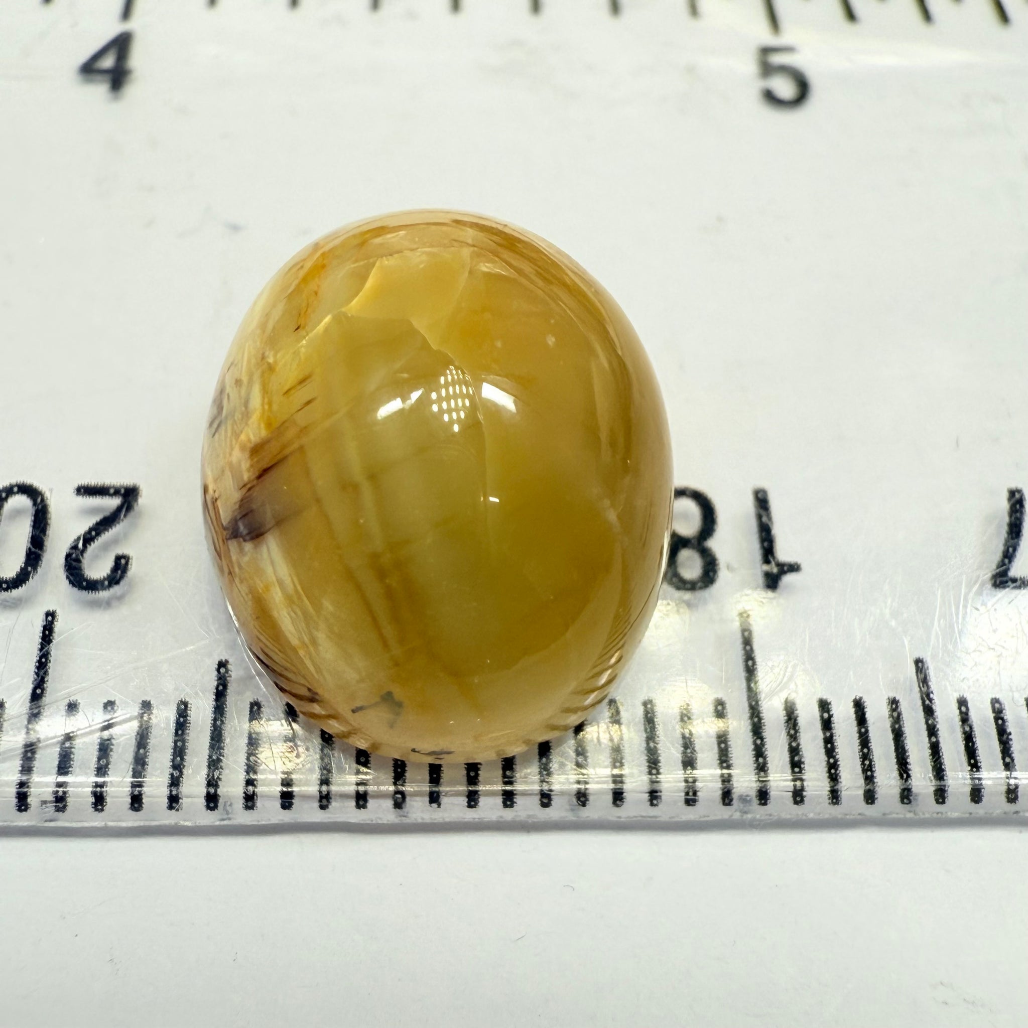 Cats-Eye Opal, 10.47ct, Tanzania, Untreated Unheated, the cats on this one is right to one side