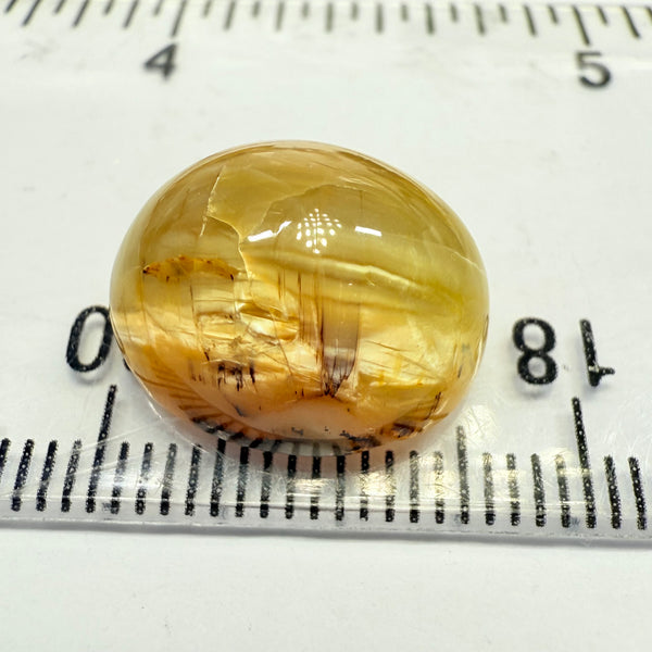 Cats-Eye Opal, 10.47ct, Tanzania, Untreated Unheated, the cats on this one is right to one side