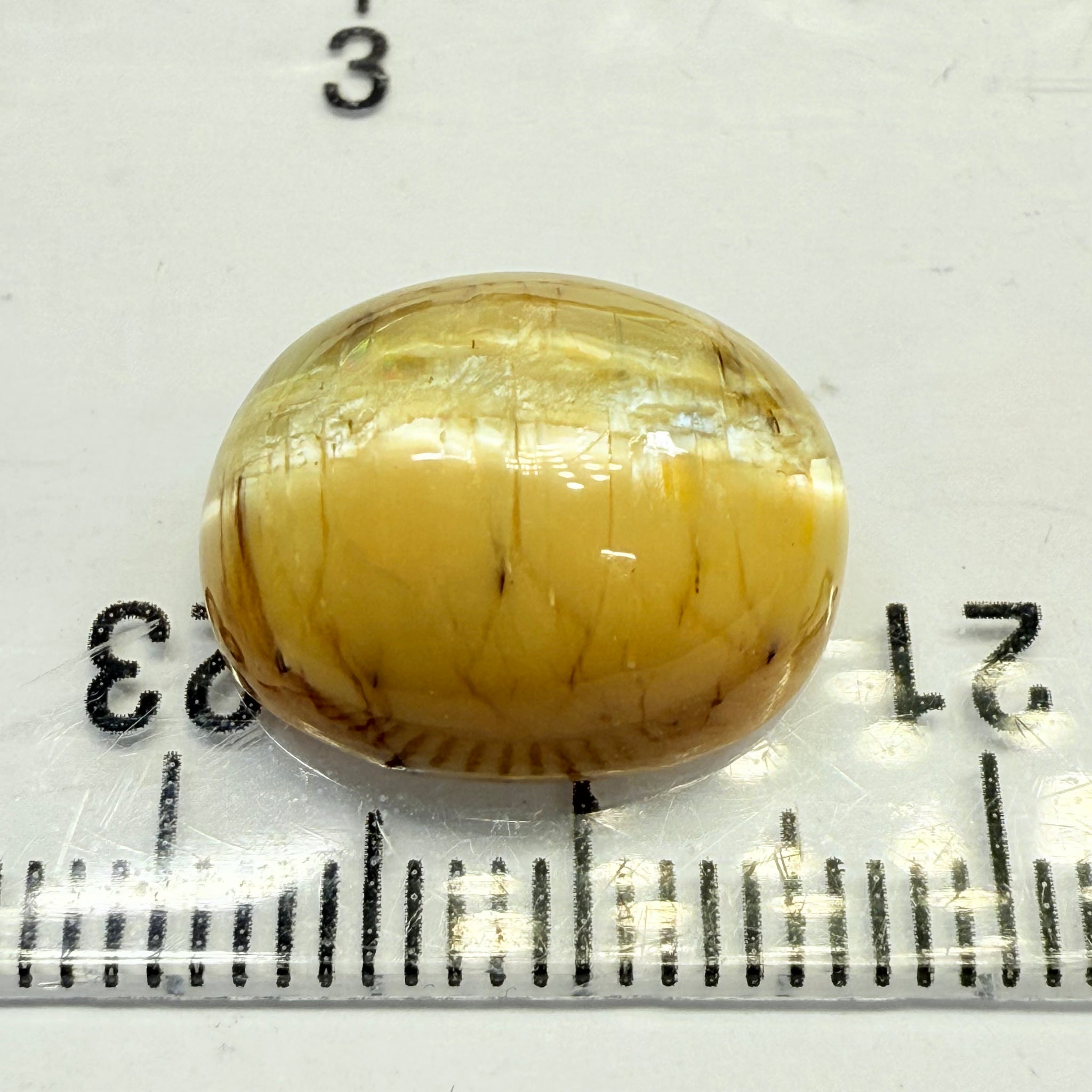 Cats-Eye Opal, 9.53ct, Tanzania, Untreated Unheated