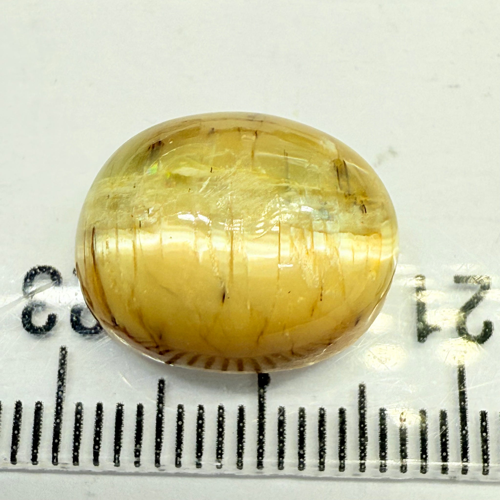 Cats-Eye Opal, 9.53ct, Tanzania, Untreated Unheated