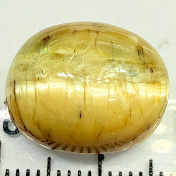 Cats-Eye Opal, 9.53ct, Tanzania, Untreated Unheated