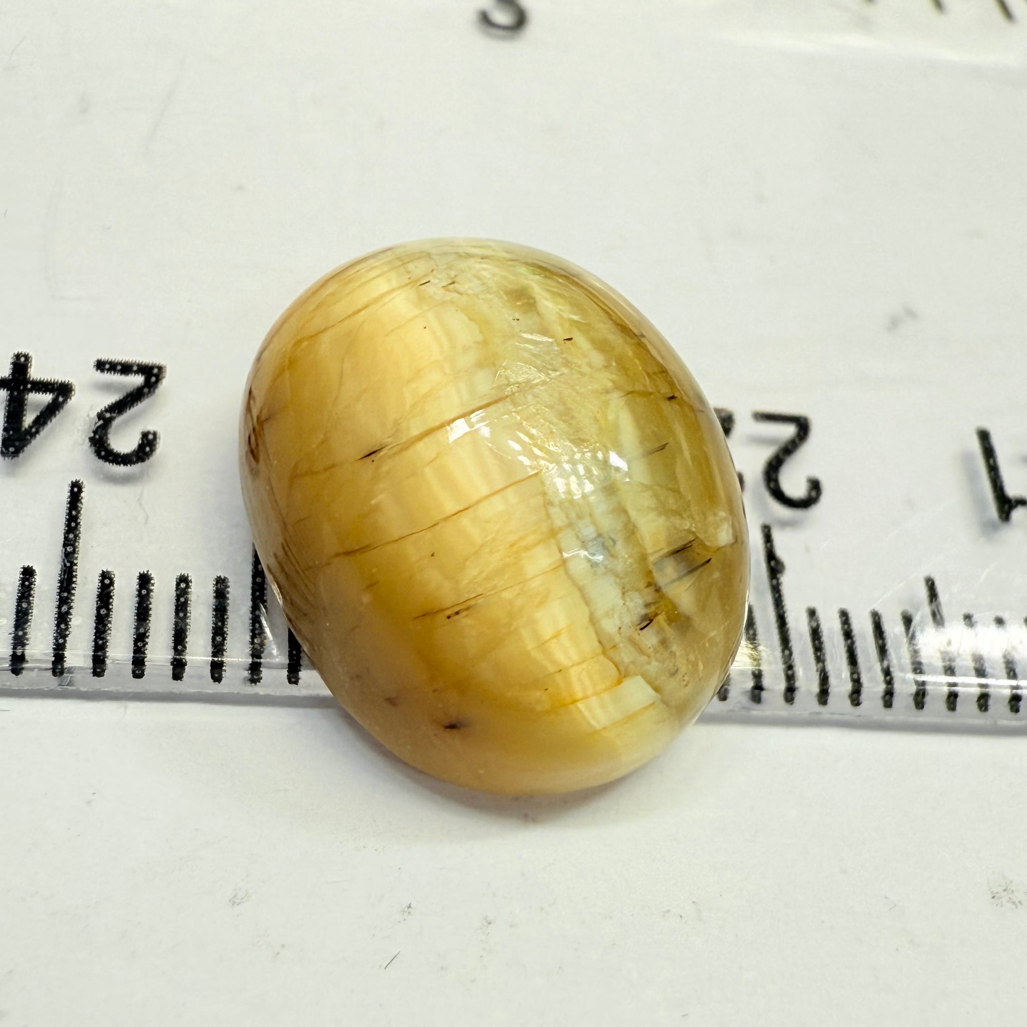 Cats-Eye Opal, 9.53ct, Tanzania, Untreated Unheated