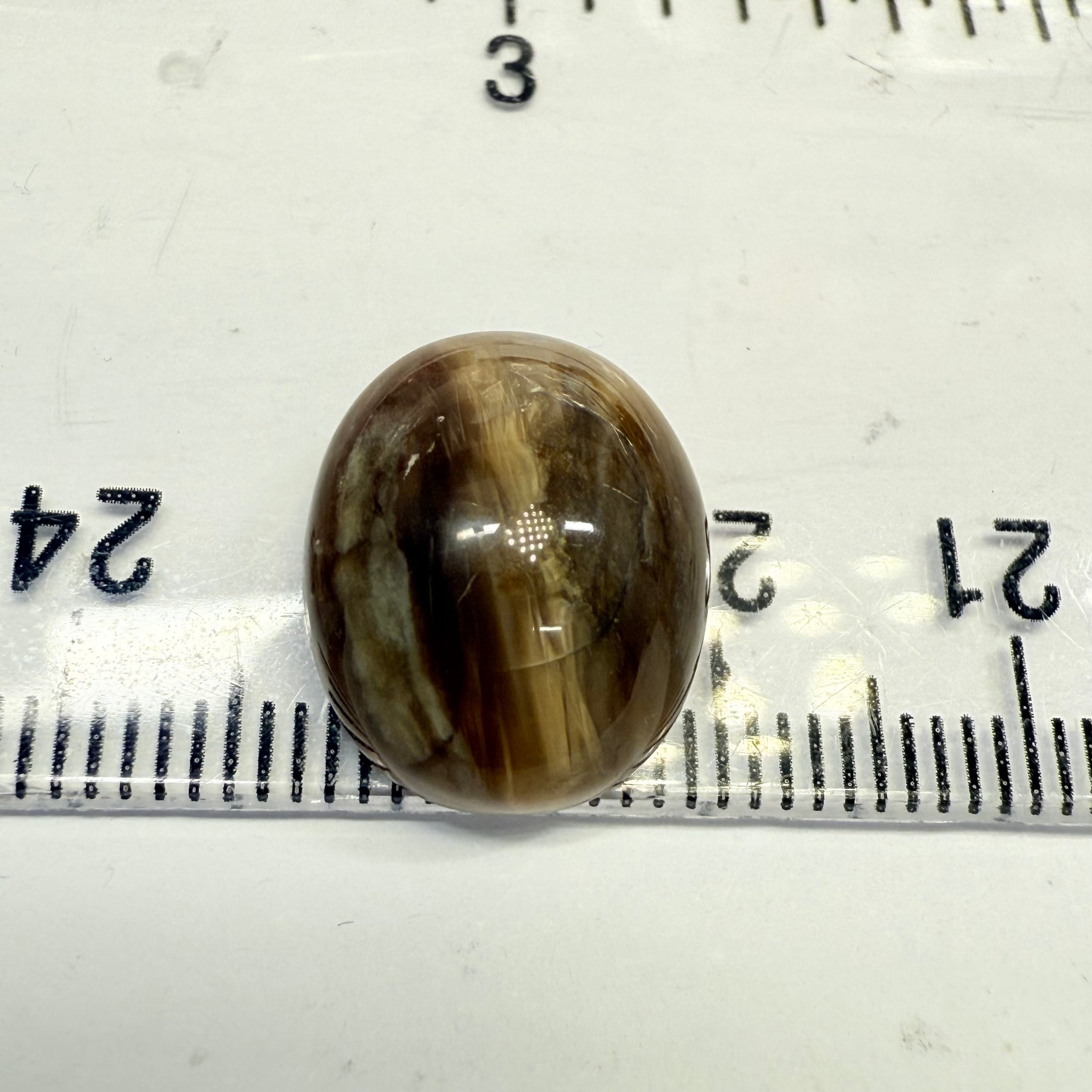 Cats-Eye Opal, 6.56ct, Tanzania, Untreated Unheated