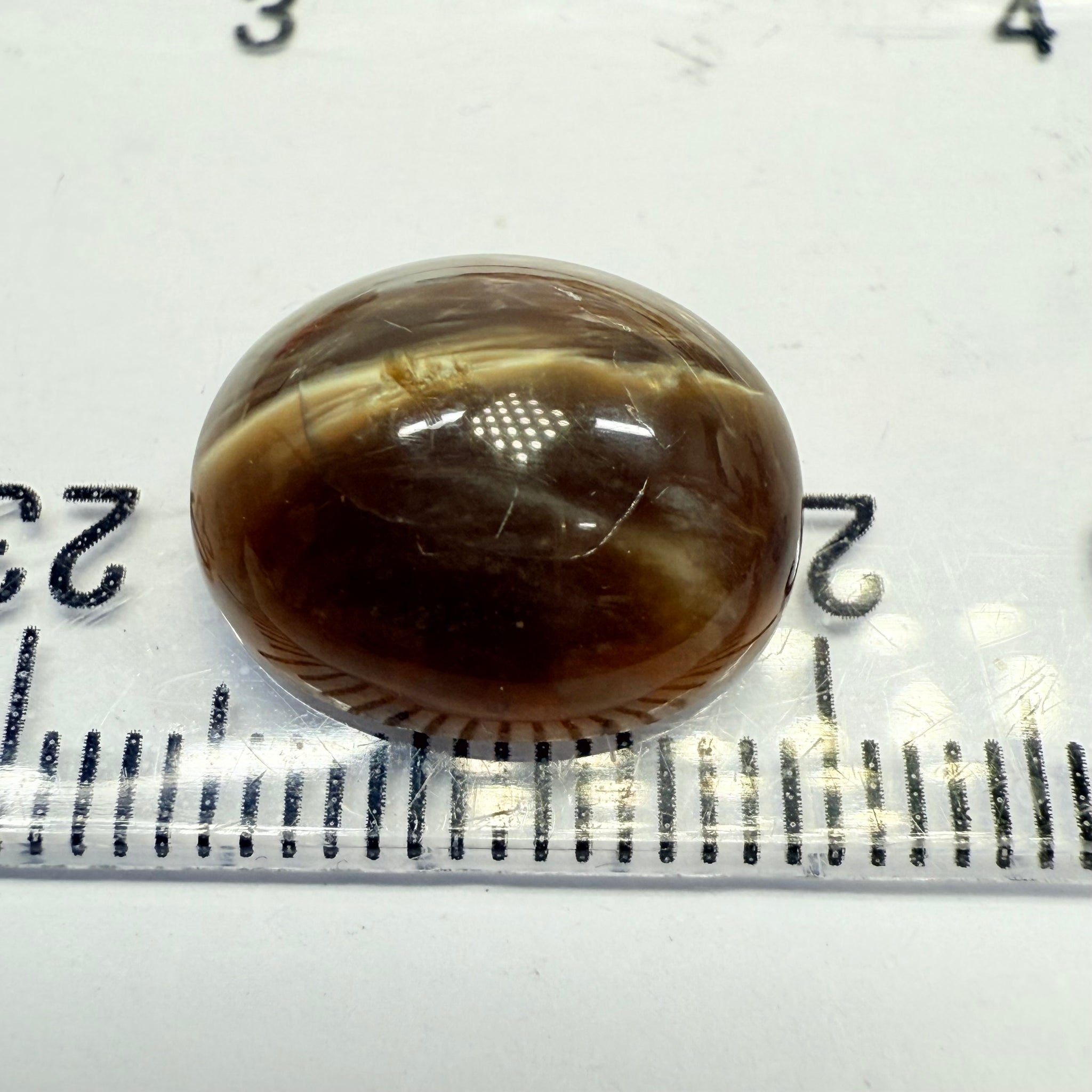 Cats-Eye Opal, 6.56ct, Tanzania, Untreated Unheated