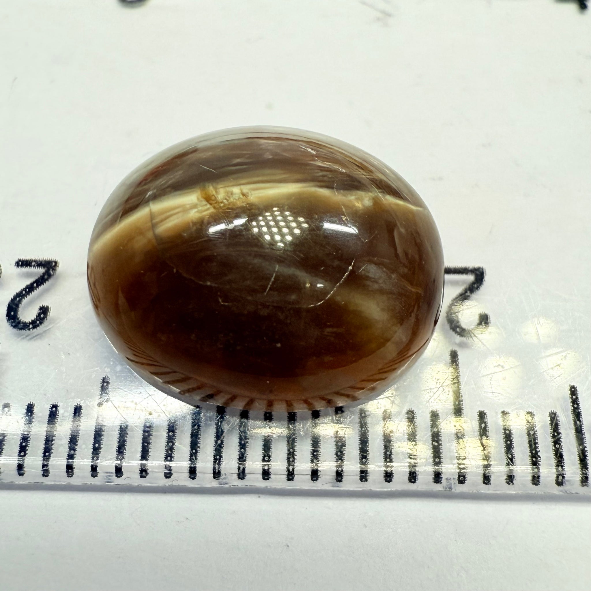 Cats-Eye Opal, 6.56ct, Tanzania, Untreated Unheated