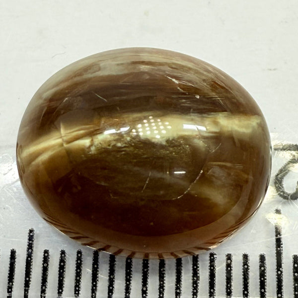 Cats-Eye Opal, 6.56ct, Tanzania, Untreated Unheated