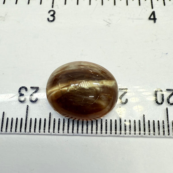 Cats-Eye Opal, 6.56ct, Tanzania, Untreated Unheated