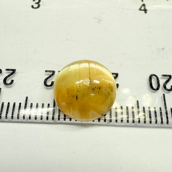 Cats-Eye Opal, 3.87ct, Tanzania, Untreated Unheated