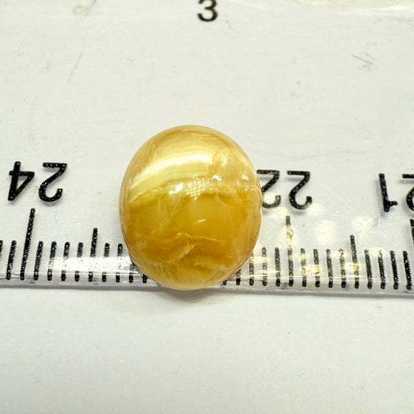 Cats-Eye Opal, 4.53ct, Tanzania, Untreated Unheated