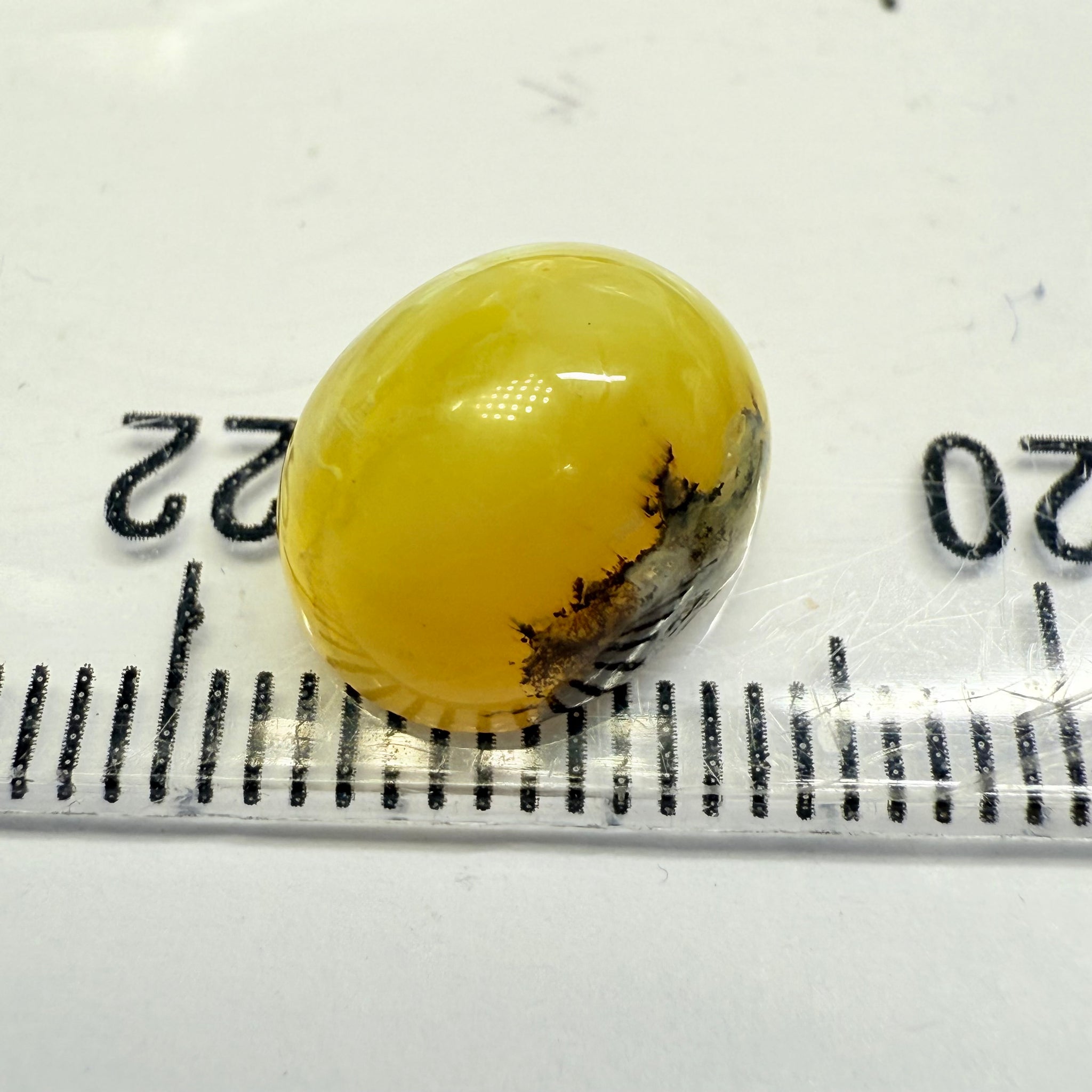 Cats-Eye Opal, 4.59ct, Tanzania, Untreated Unheated