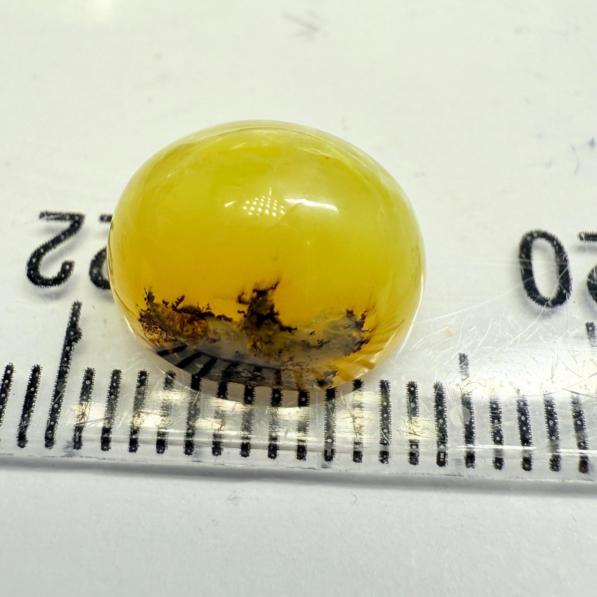 Cats-Eye Opal, 4.59ct, Tanzania, Untreated Unheated