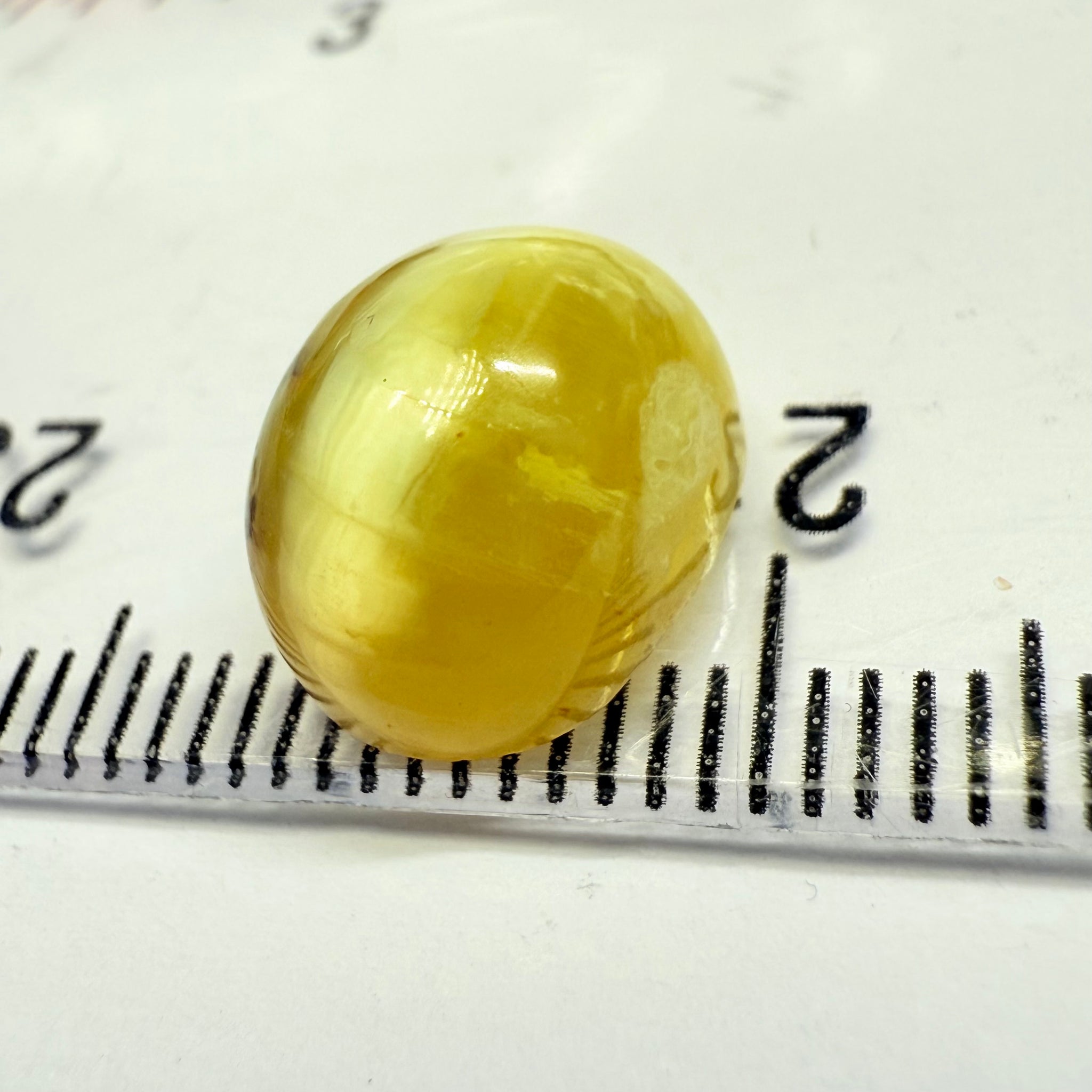 Cats-Eye Opal, 4.59ct, Tanzania, Untreated Unheated