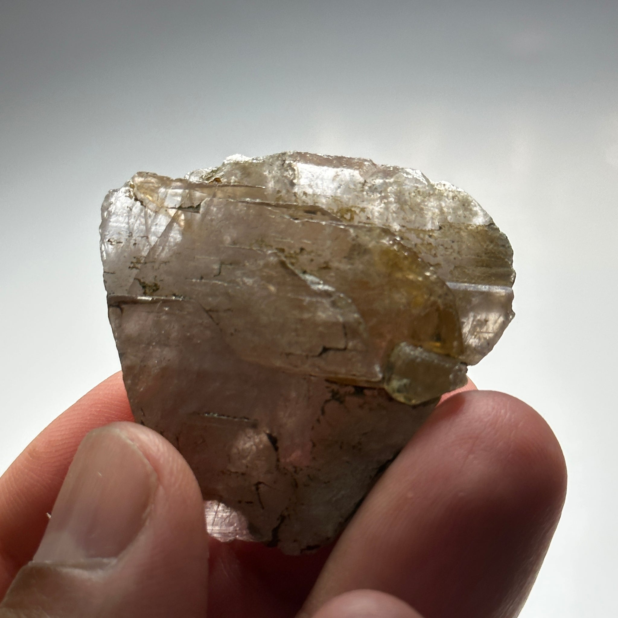 Magnesio Axinite Crystal, 83.33ct, Merelani, Tanzania. 3.8 x 4.0 x 1.05cm