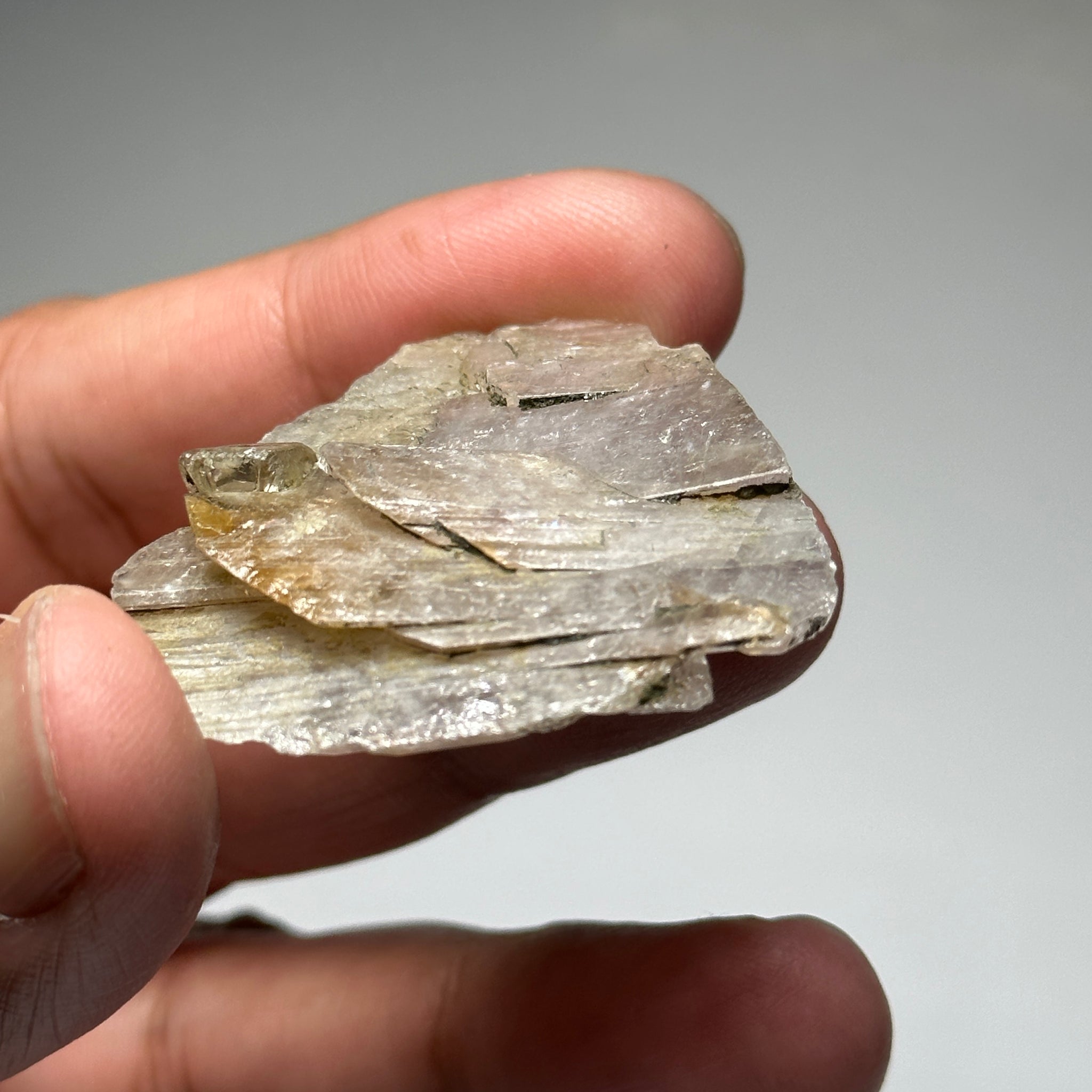 Magnesio Axinite Crystal, 83.33ct, Merelani, Tanzania. 3.8 x 4.0 x 1.05cm