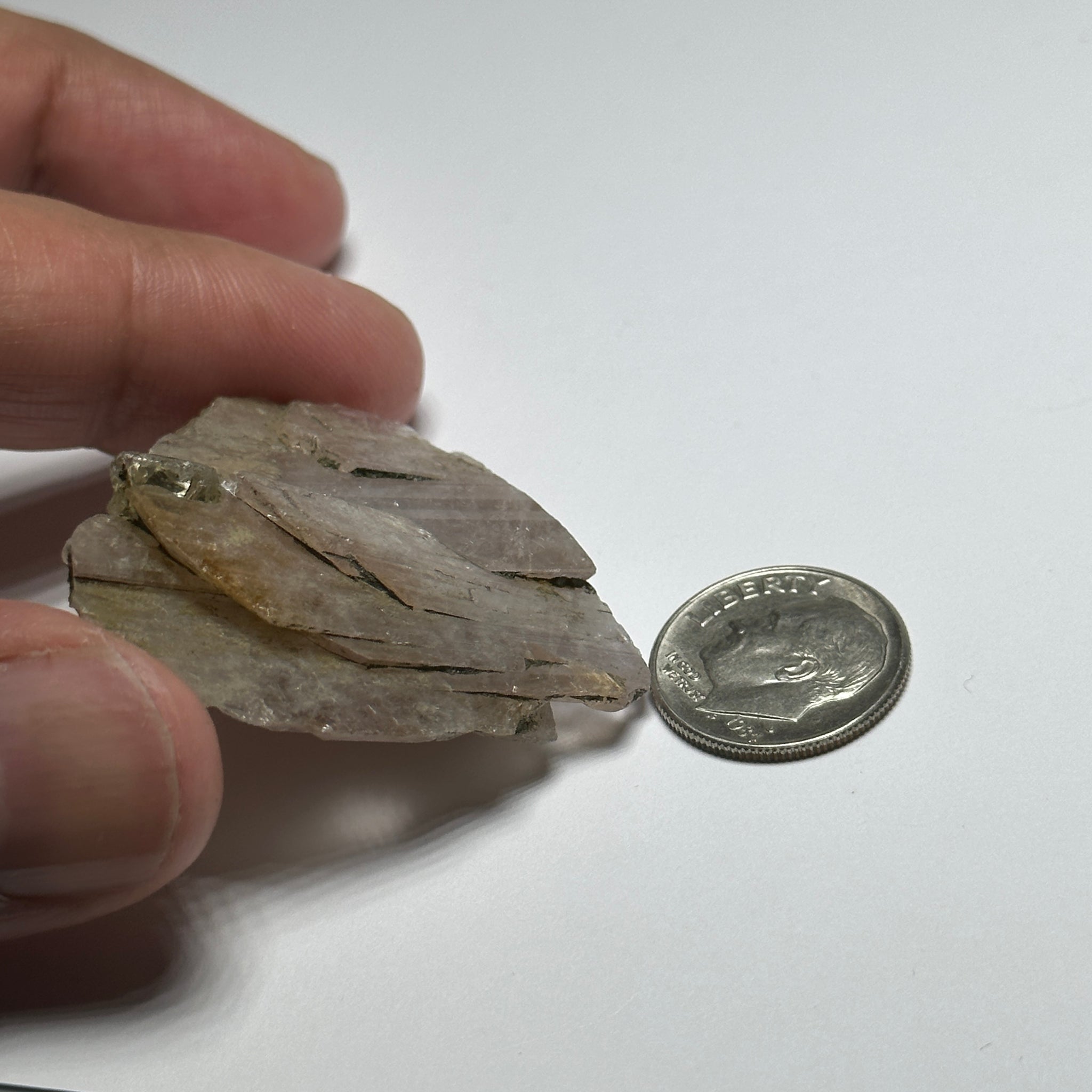 Magnesio Axinite Crystal, 83.33ct, Merelani, Tanzania. 3.8 x 4.0 x 1.05cm
