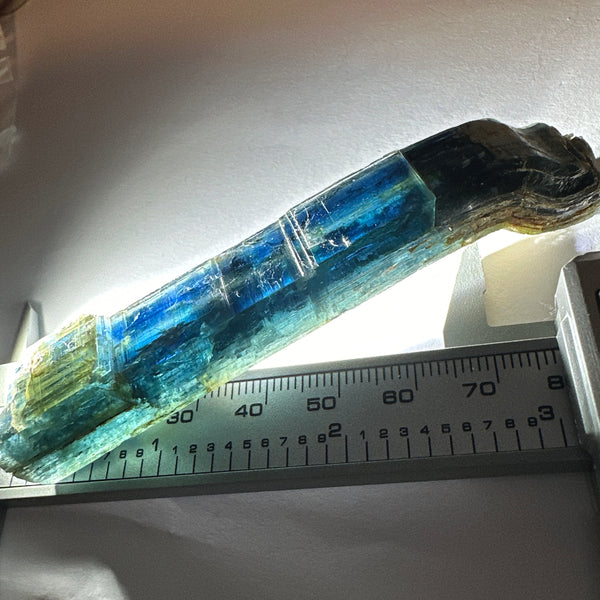 206.49ct Unusual Blue Kyanite Crystal, Kenya, Untreated Unheated, naturally curved