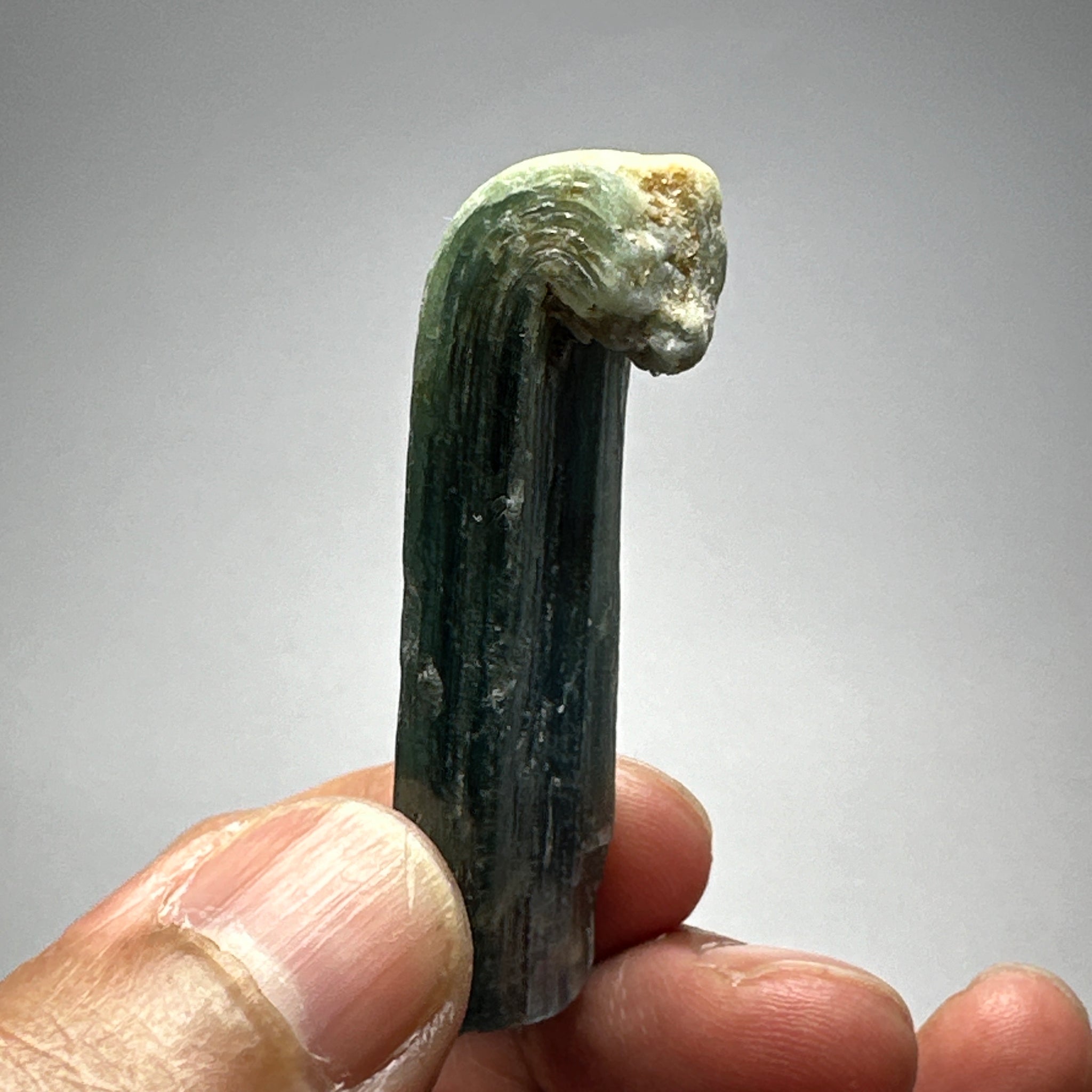 Blue Kyanite Crystal, 129.30ct, Kenya, Untreated Unheated, naturally curved