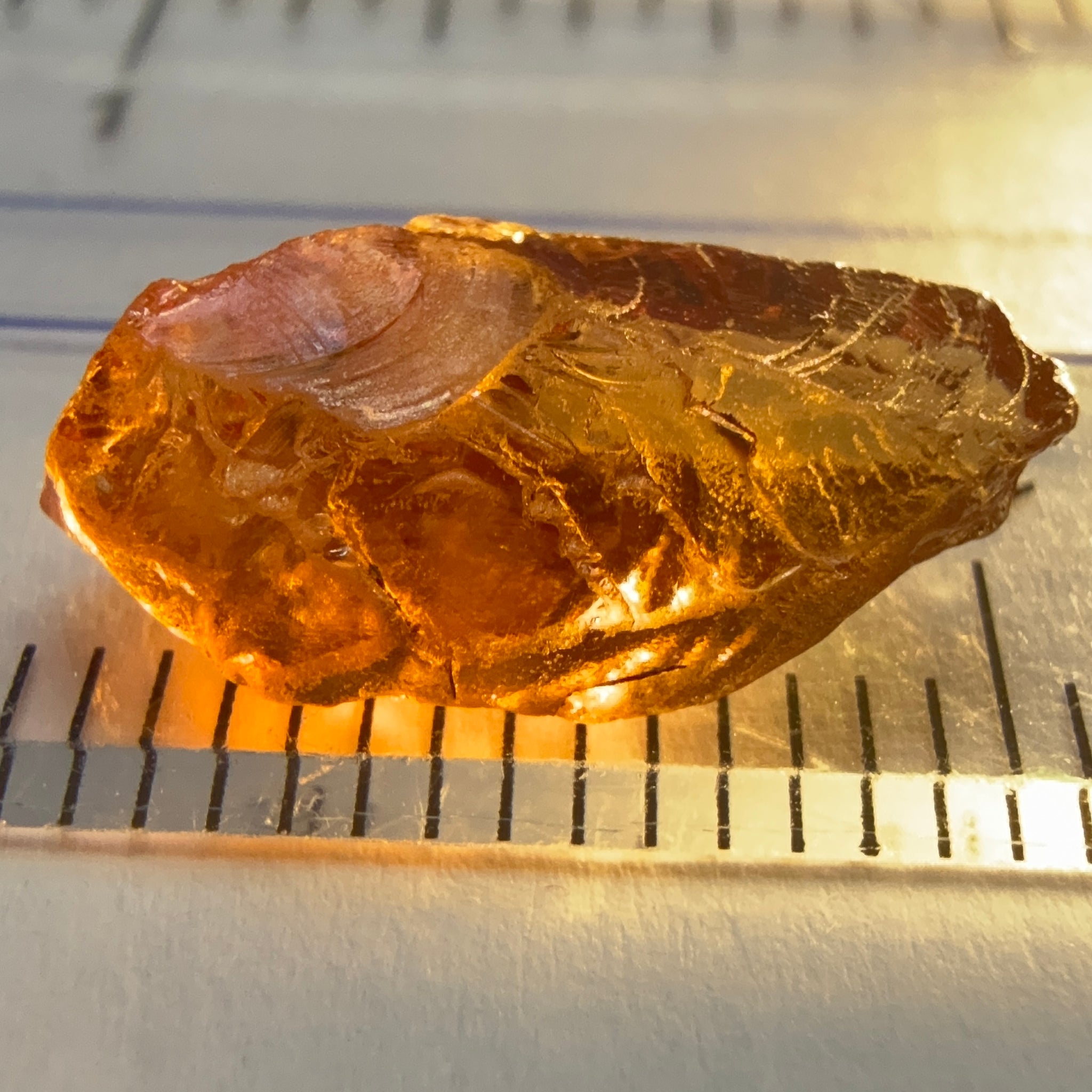 Colour Shift Garnet, 3.93ct, Tanzania, Untreated Unheated, vvs-if flat shape