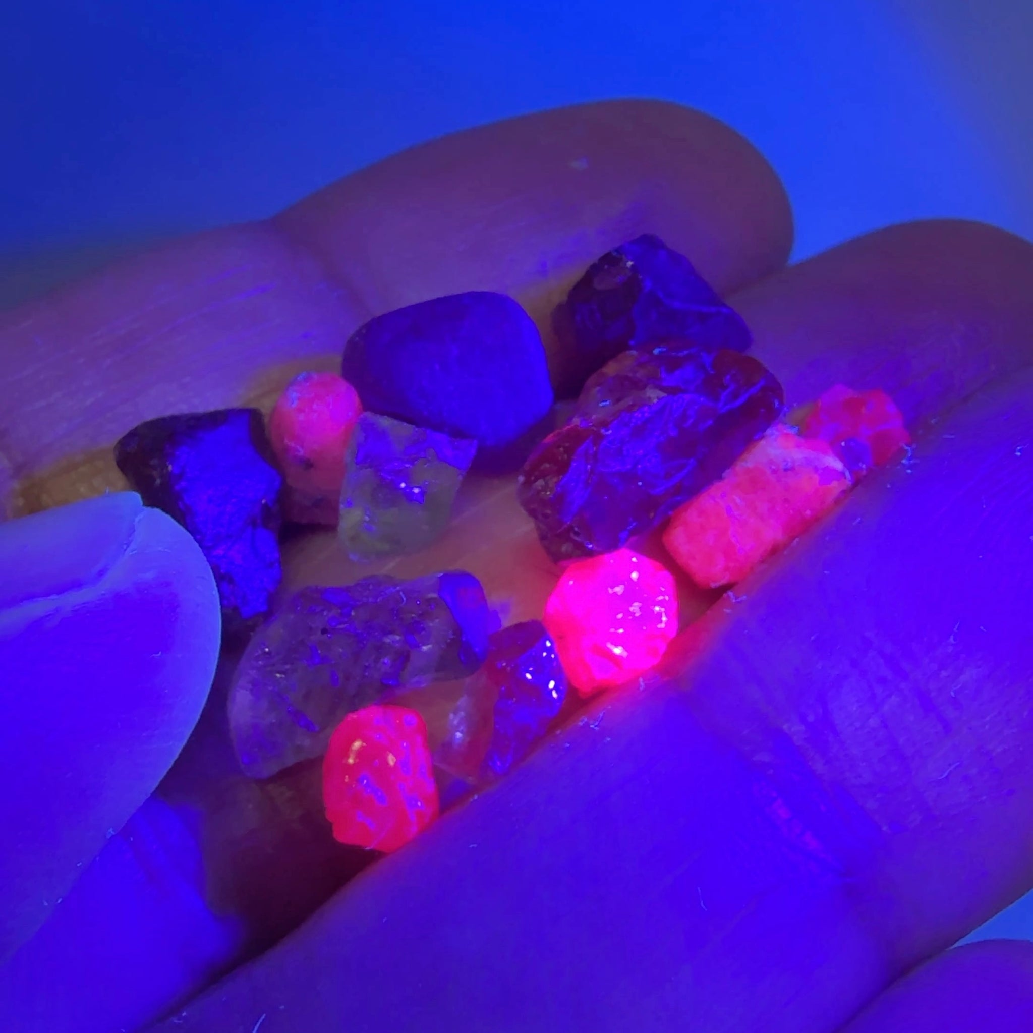 Gem Torch by Gemstone Masters, 6 function gem torch, strong power UV 365nm and 395nm, belt clip and 2 light focusing cones, 98% cri white bulb, 2-year warranty (excluding damage or wear and tear), we are the agents for this. Ships worldwide