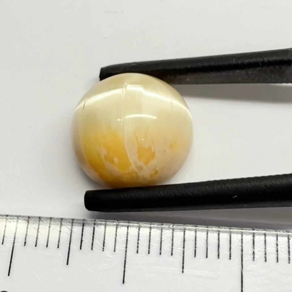 Cats-Eye Opal, 4.48ct, Tanzania, Untreated Unheated