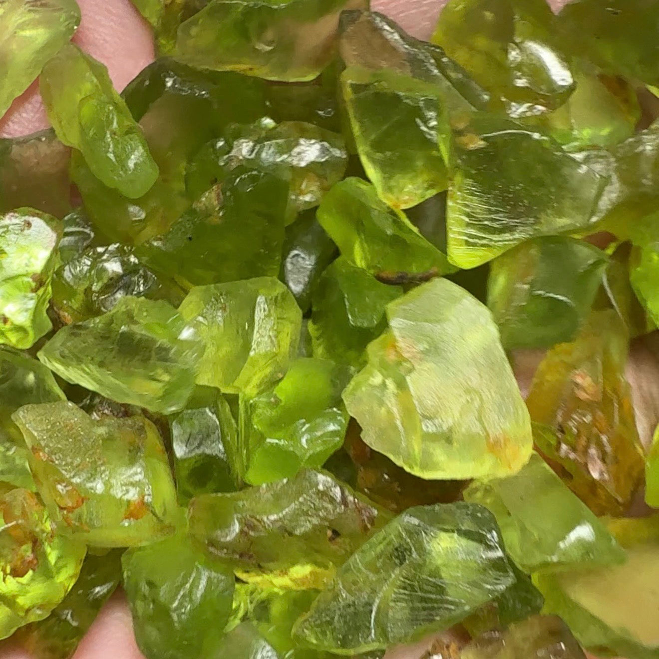 GoGo Peridot Lot, 111.50gm (557.50ct), Tanzania, mixed grades, clarities and shapes