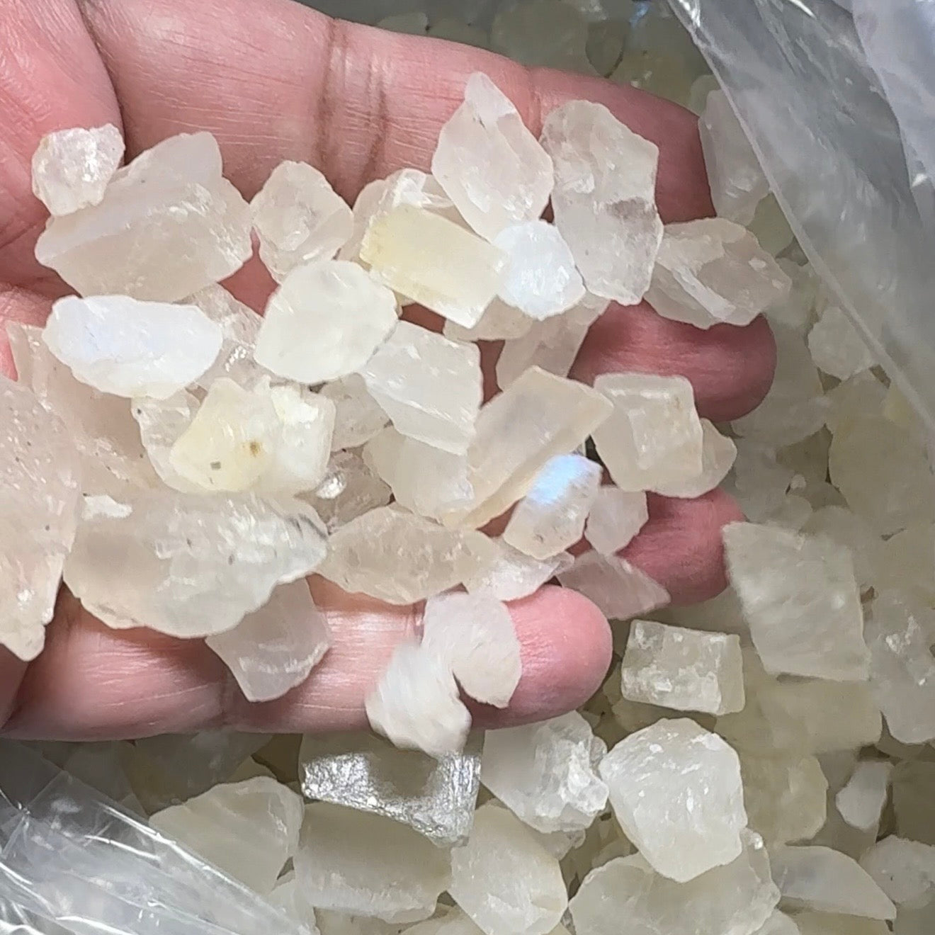 Moonstone Lot, 1.69kg (8450ct), Tanzania, some have blue sheen some don’t, see video