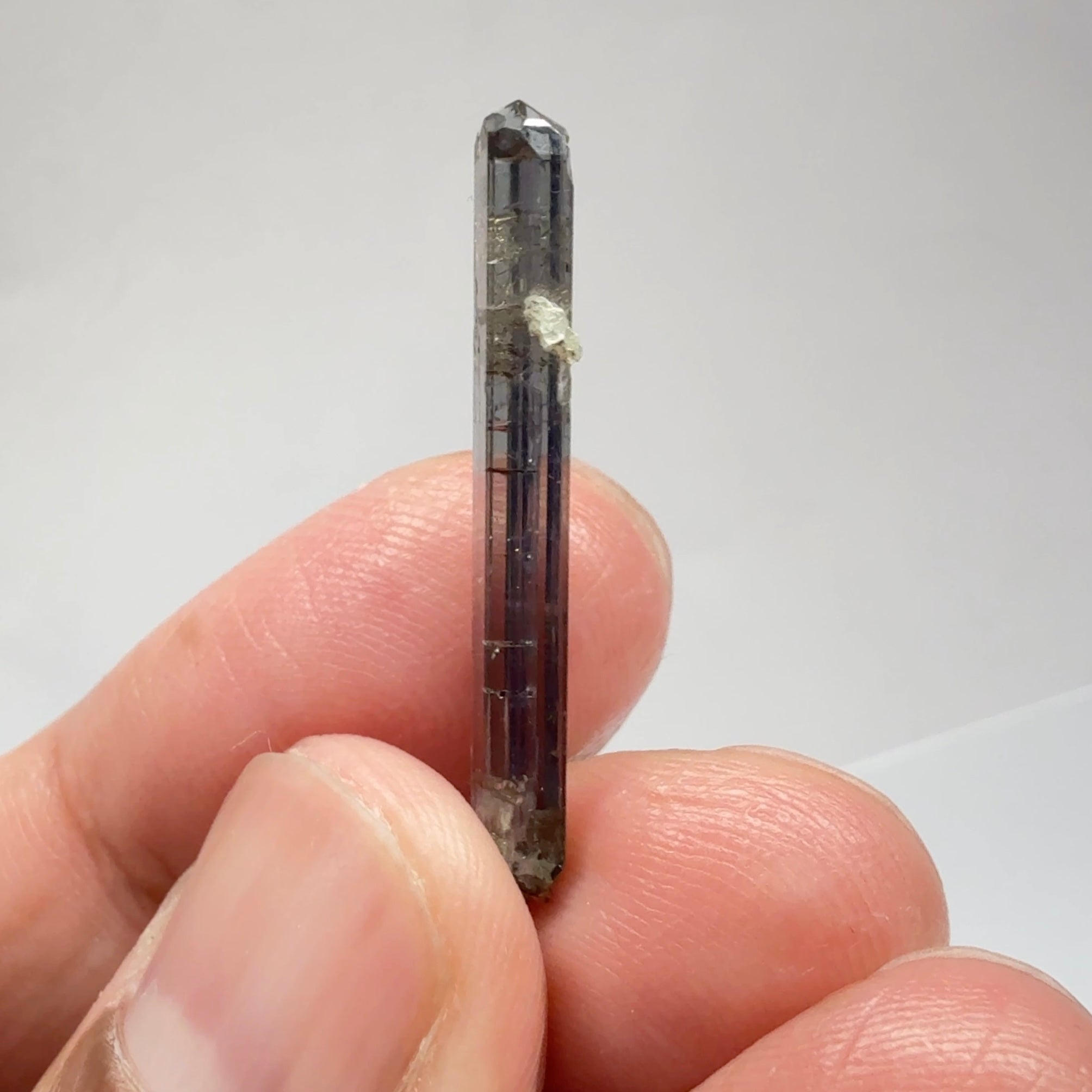 Tanzanite Crystal, 6.65ct, Tanzania, Unheated Untreated, 31.20 x 2.90 x 5.70mm