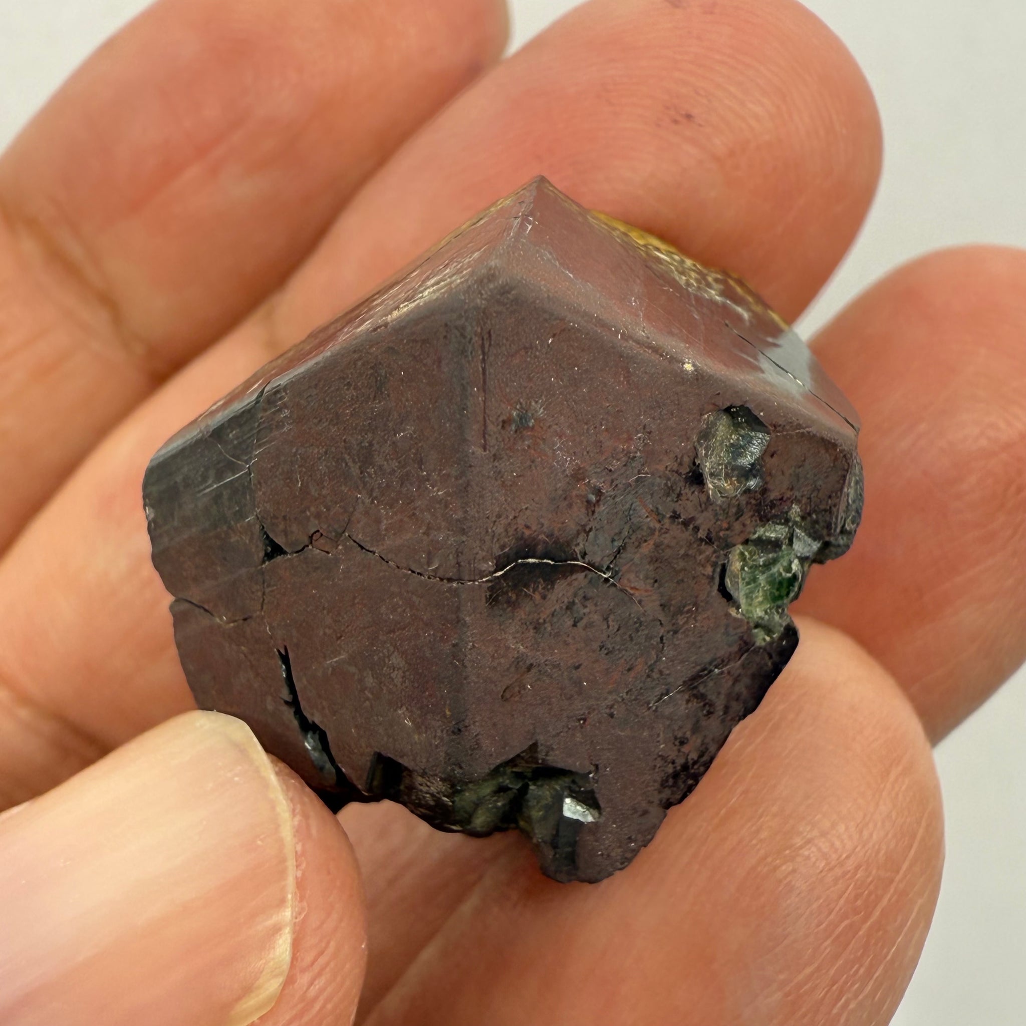 Magnetite Crystal, Merelani, same mining pit as Tanzanite, comes out with Tanzanite, Tanzania, Untreated Unheated. 28.1gm 30 x 27 x 19.6mm