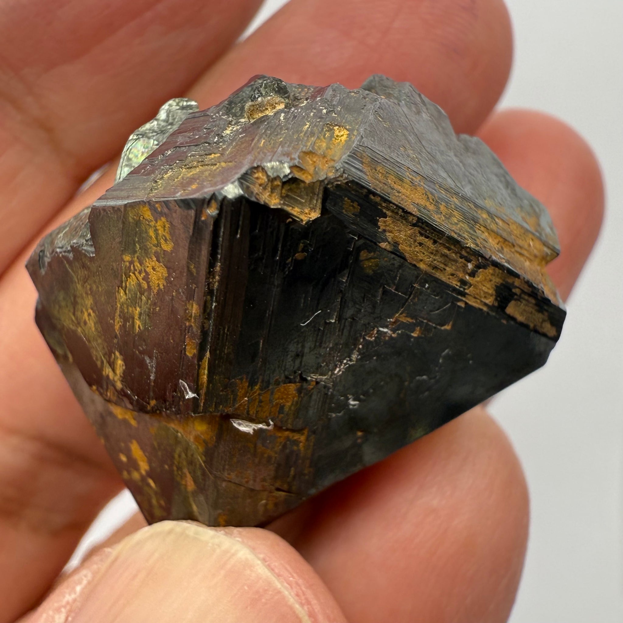 Magnetite Crystal, Merelani, same mining pit as Tanzanite, comes out with Tanzanite, Tanzania, Untreated Unheated. 43.80gm 26.8 x 28.4 x 29.1mm