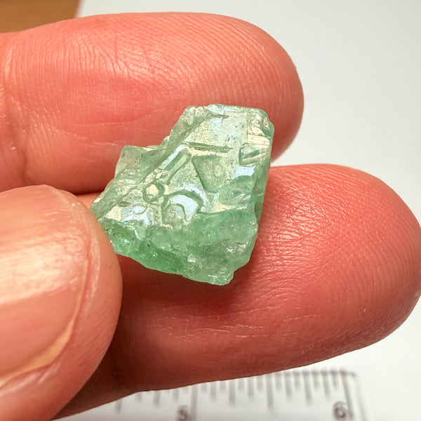 Emerald Crystal, 8.03ct, Manyara, Tanzania, Untreated Unheated, no oil
