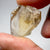 Citrine, 23.08ct, Zambia, Untreated Unheated, slight issues on outside, rest VVS-IF, shape flat