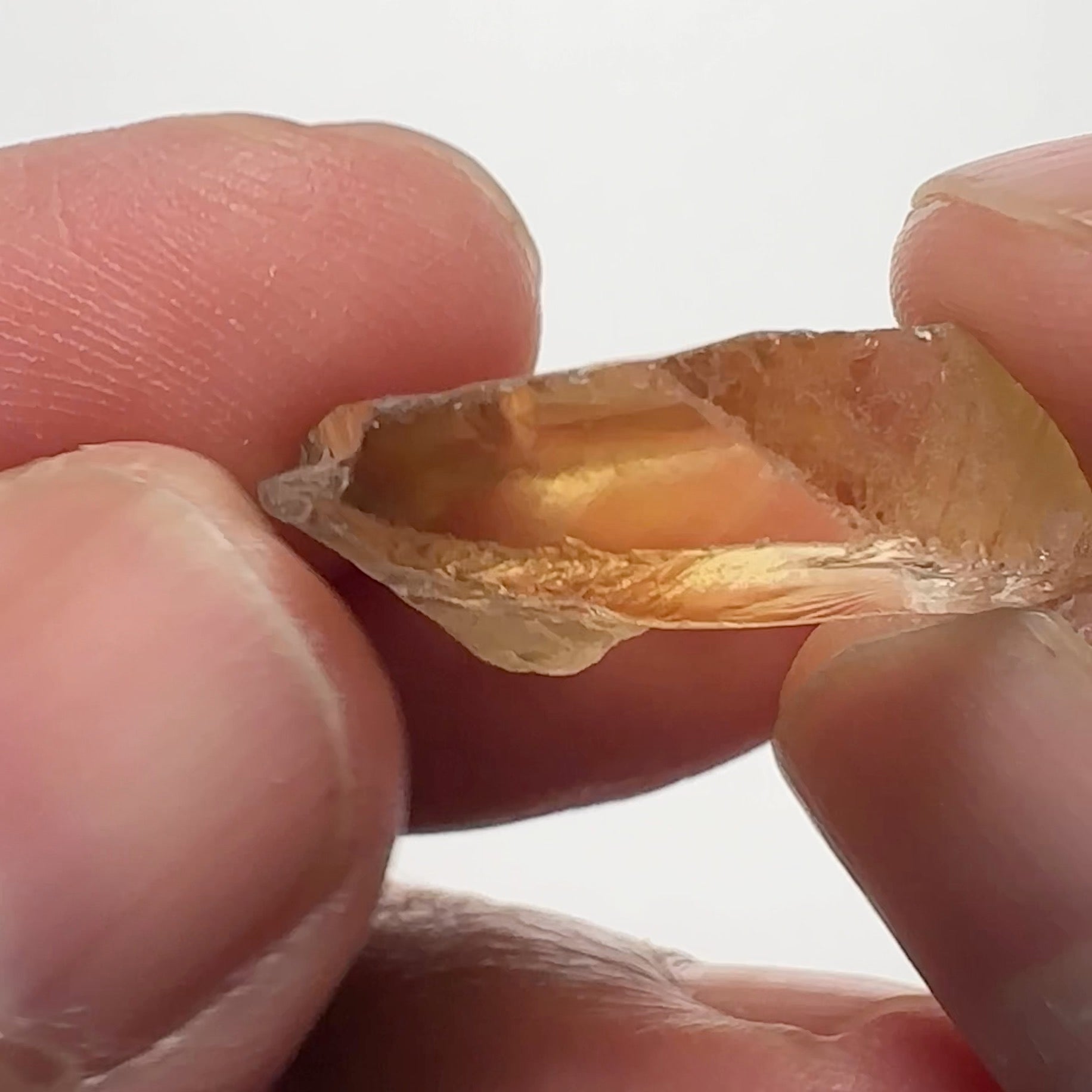 Citrine, 23.08ct, Zambia, Untreated Unheated, slight issues on outside, rest VVS-IF, shape flat