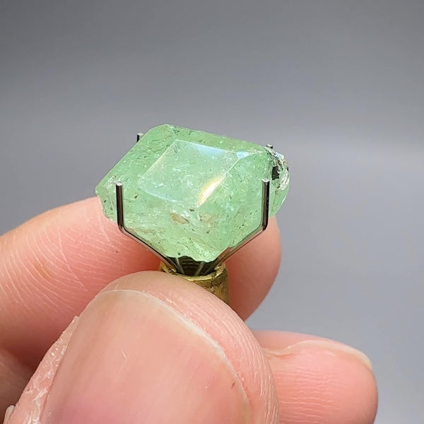 10.94ct Tsavorite Crystal on Matrix. Merelani. Tanzania