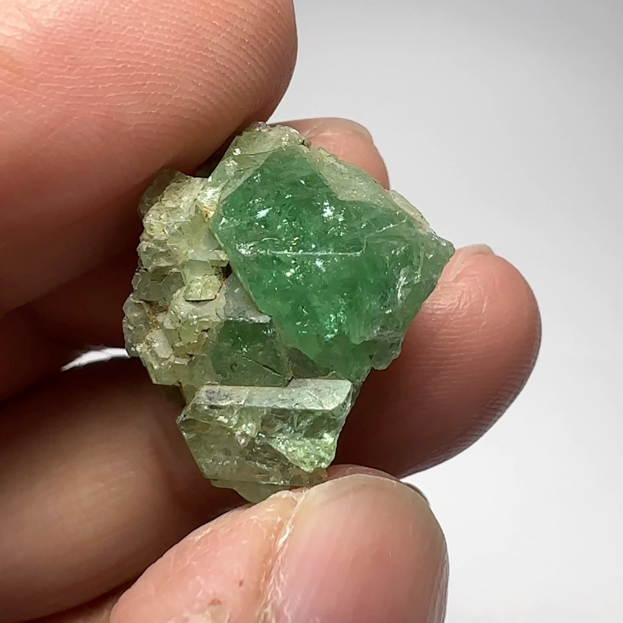31.22ct Tsavorite Crystal on Matrix. Merelani. Tanzania, Untreated Unheated