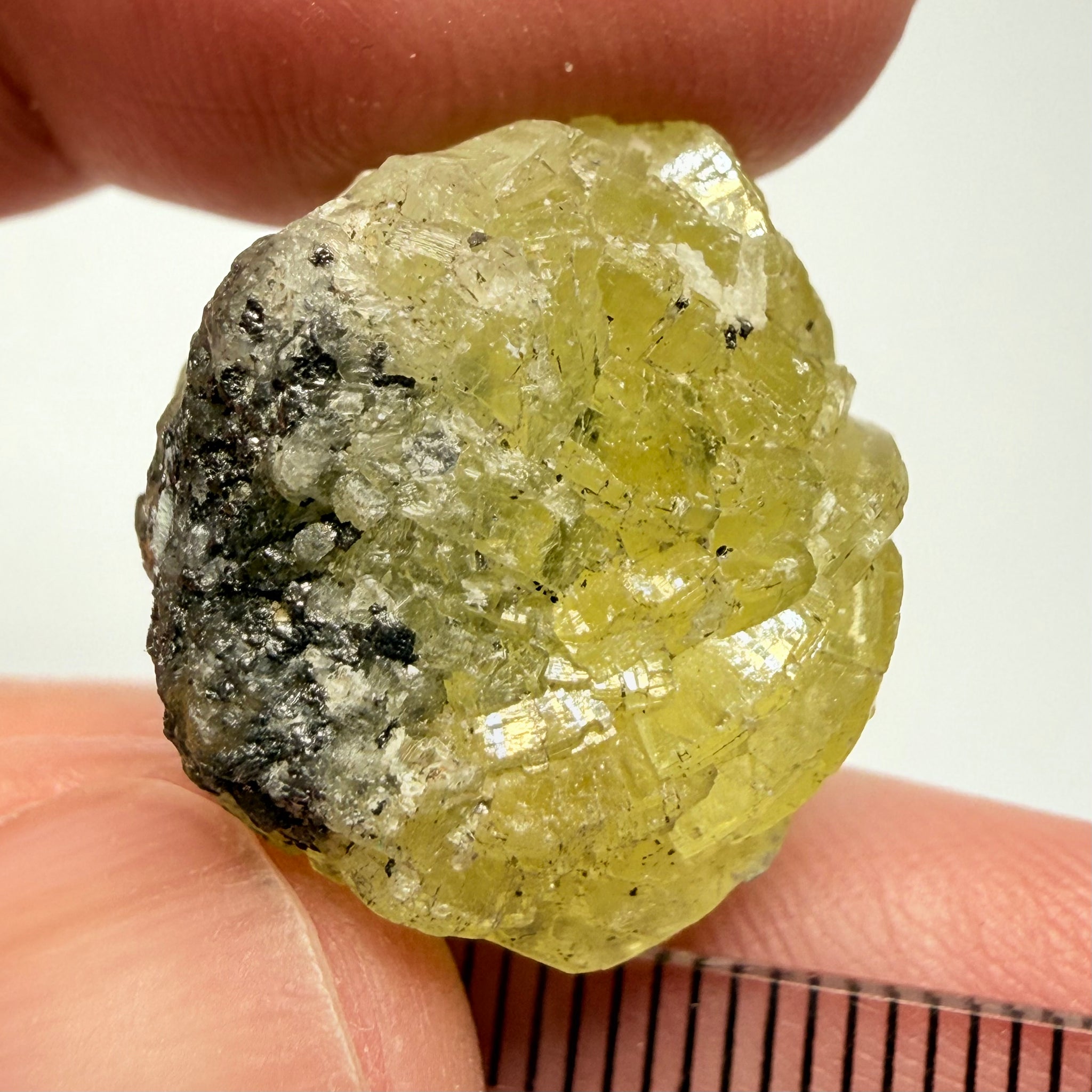 Prehnite Crystal, 46.55ct, Merelani Hills, Tanzania, Unheated Untreated