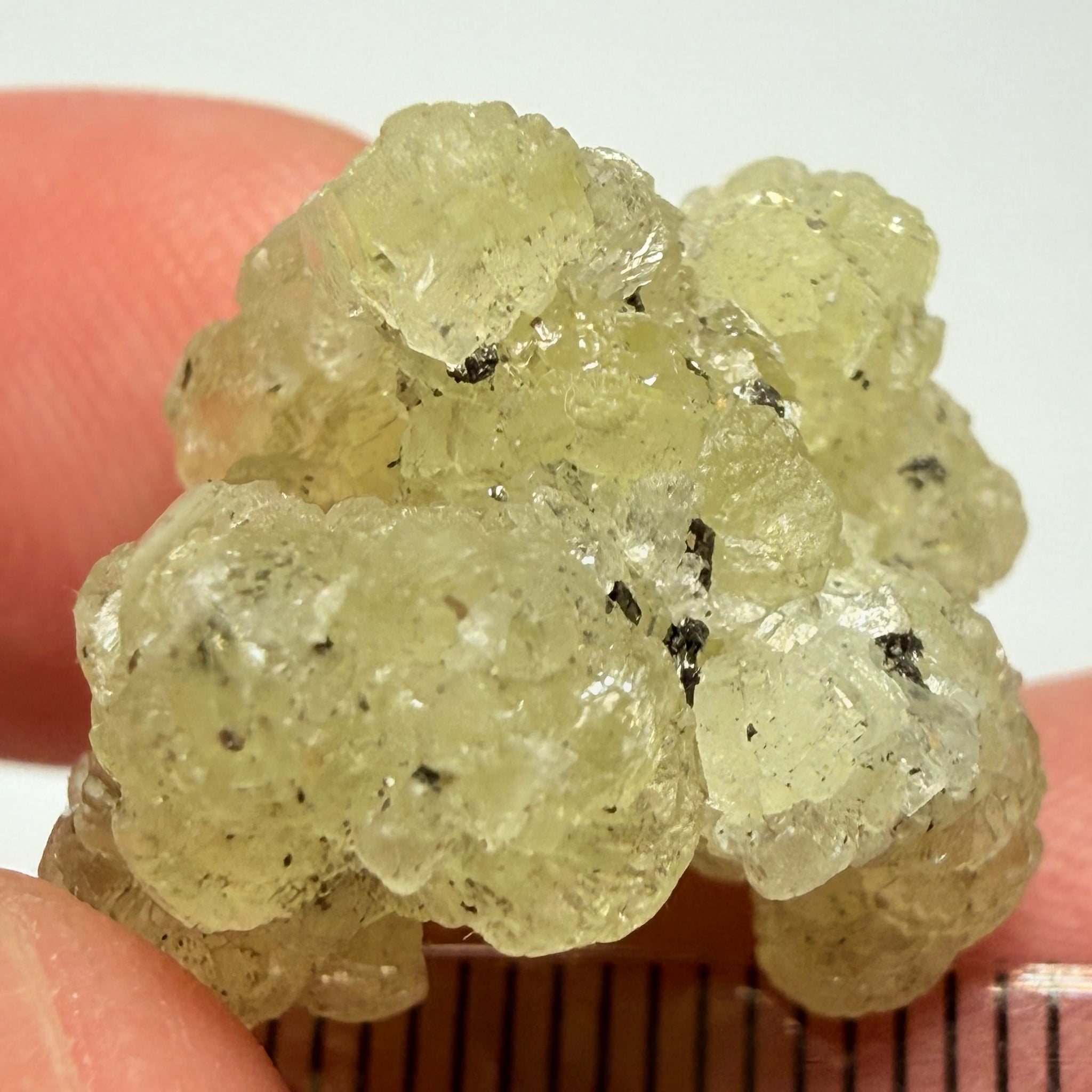 Prehnite Crystal, 27.90ct, Merelani Hills, Tanzania, Unheated Untreated&nbsp;