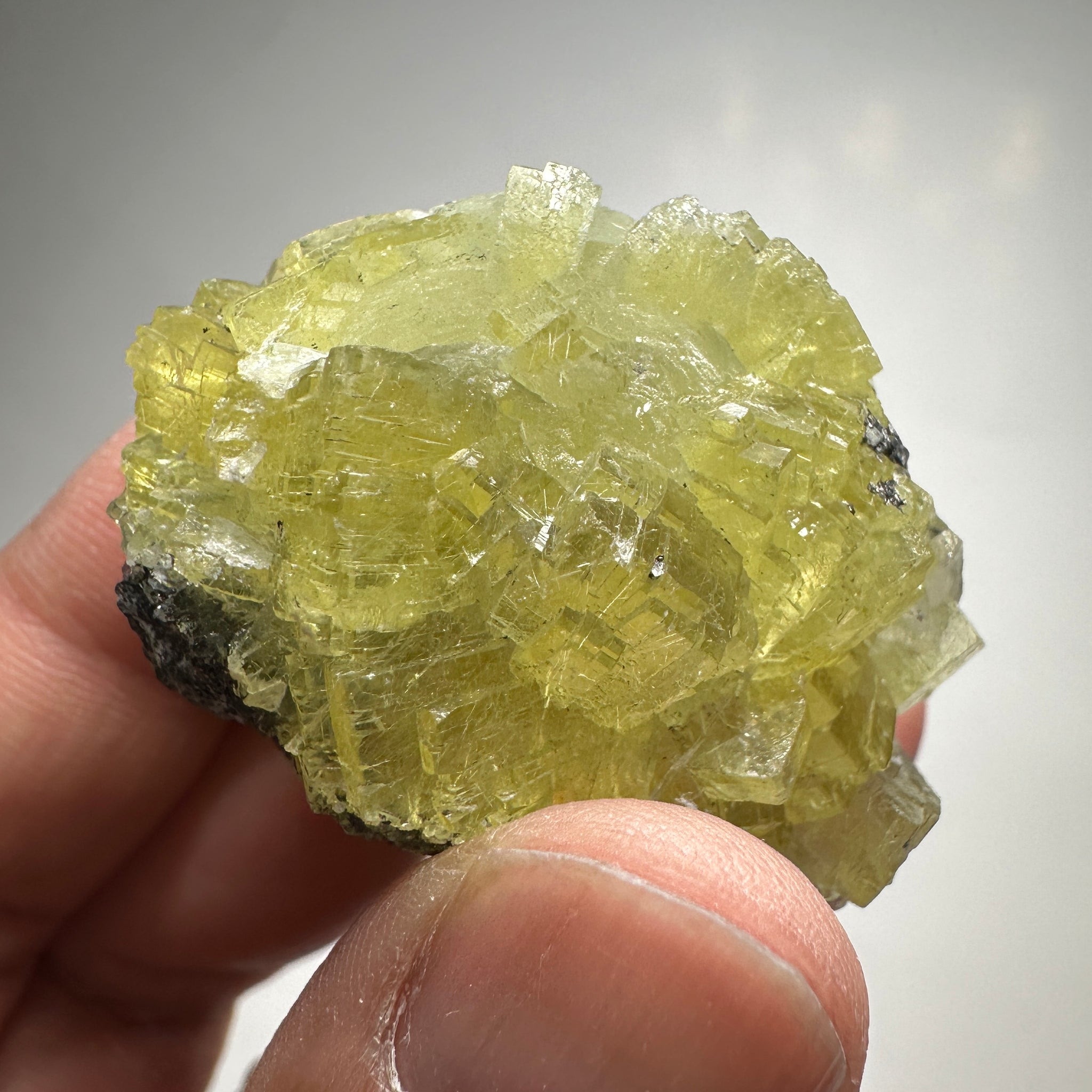 Prehinite Crystal, 288ct / 57.60gm, Merelani, Tanzania, Untreated Unheated. 43.5mm x 32.5mm x 34.5mm