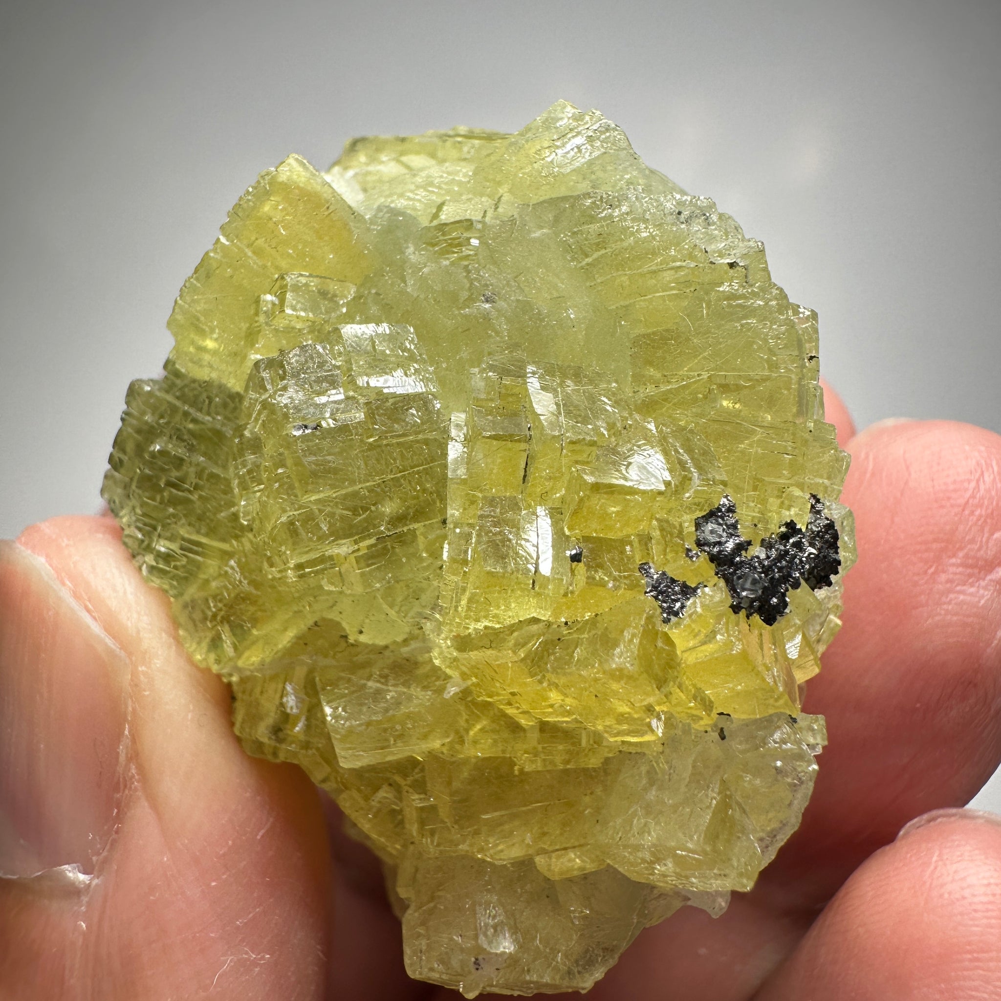 Prehinite Crystal, 288ct / 57.60gm, Merelani, Tanzania, Untreated Unheated. 43.5mm x 32.5mm x 34.5mm