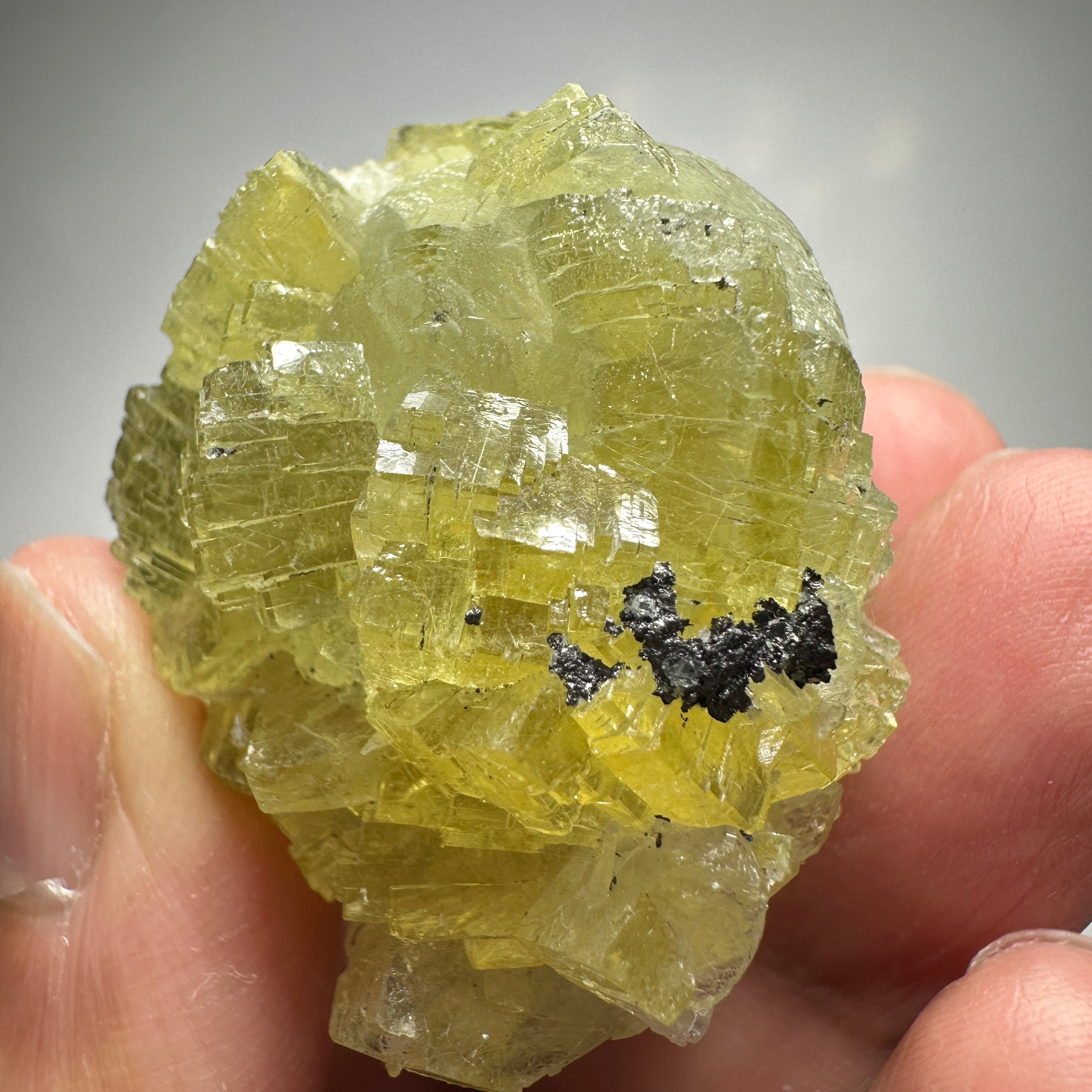 288ct / 57.60gm Prehinite Crystal, Merelani, Tanzania, Untreated Unheated. 43.5mm x 32.5mm x 34.5mm