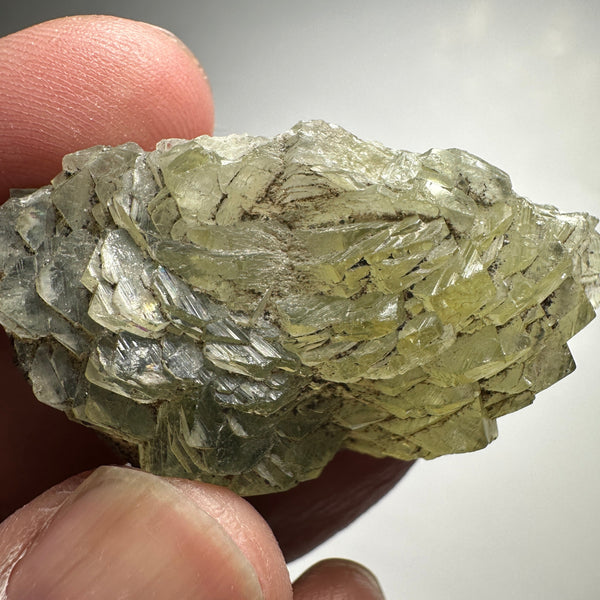Prehinite Crystal, 131ct / 26.20gm, Merelani, Tanzania, Untreated Unheated. 46.20mm x 24.80mm x 20.00mm